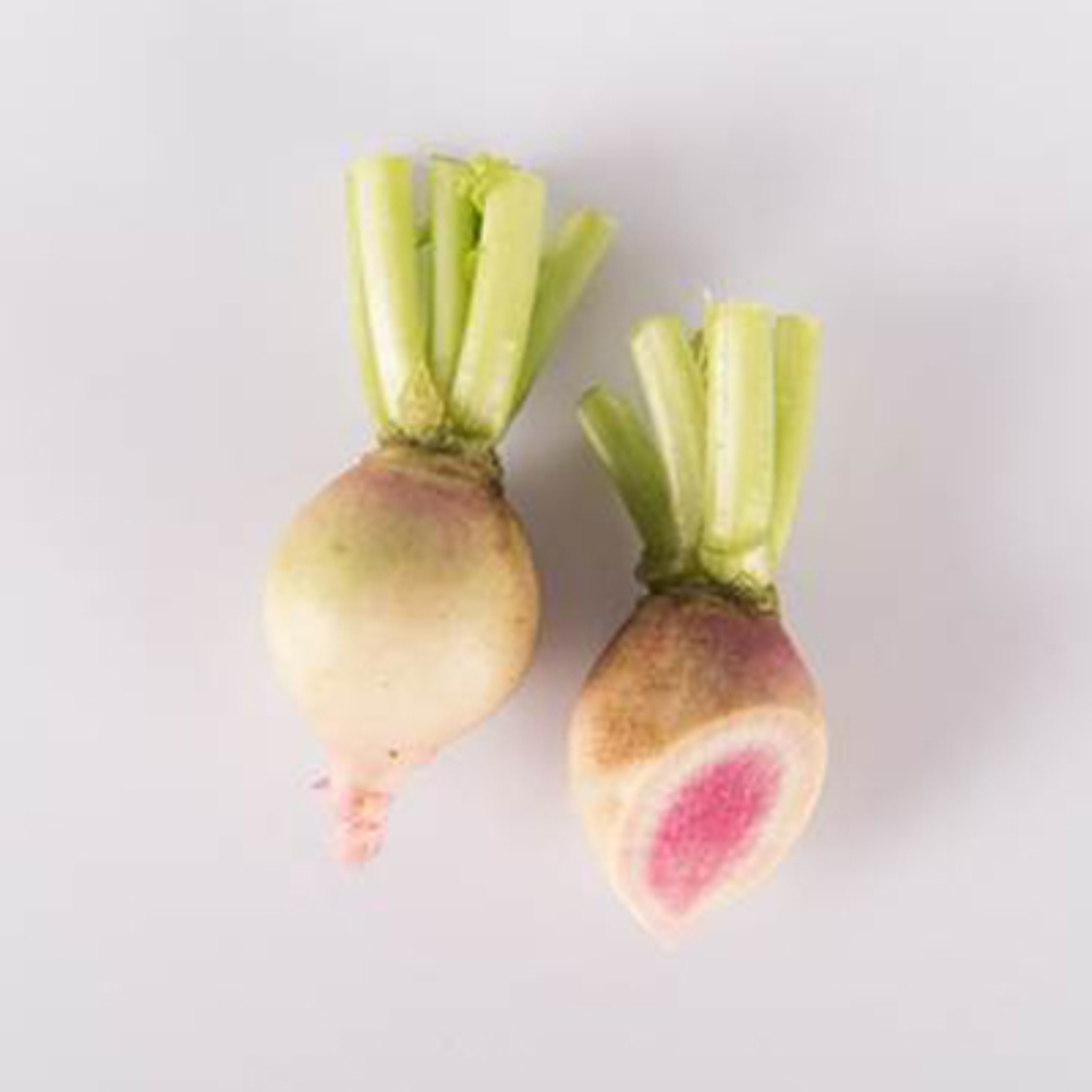 types of radishes watermelon
