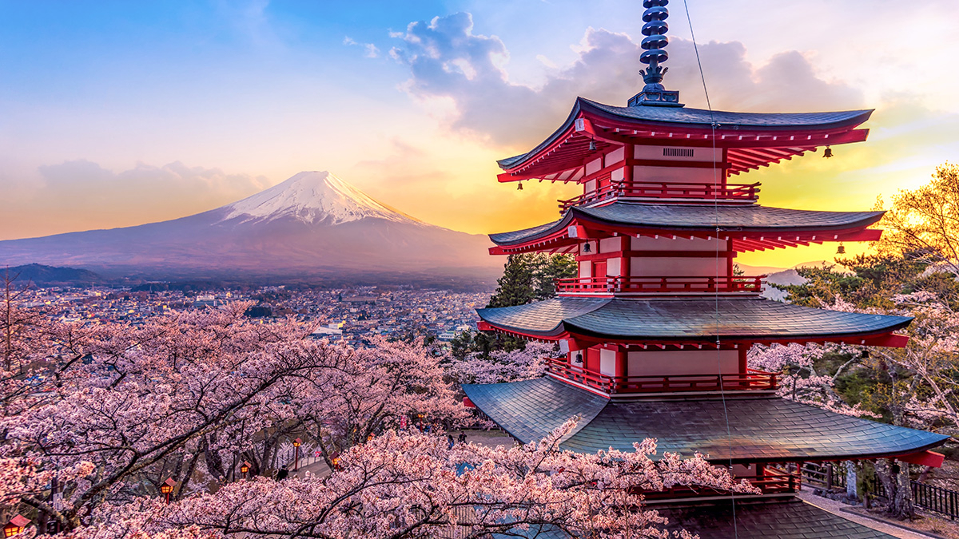 Article Cards Featured Image Mt. Fuji and Chureito pagoda at sunset, with Japanese flowers cherry blooms in the background