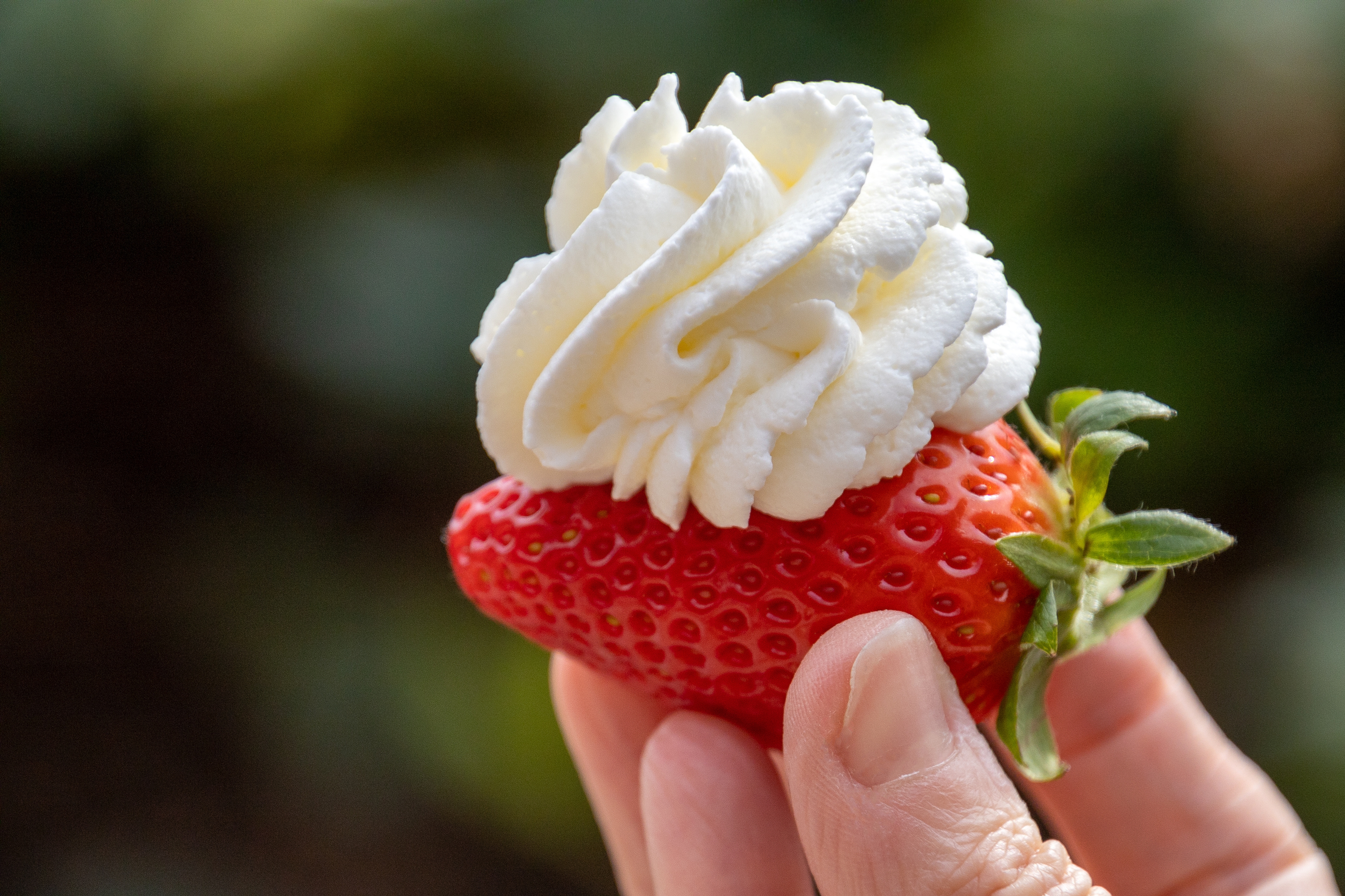 romantic foods whipped cream covered strawberry