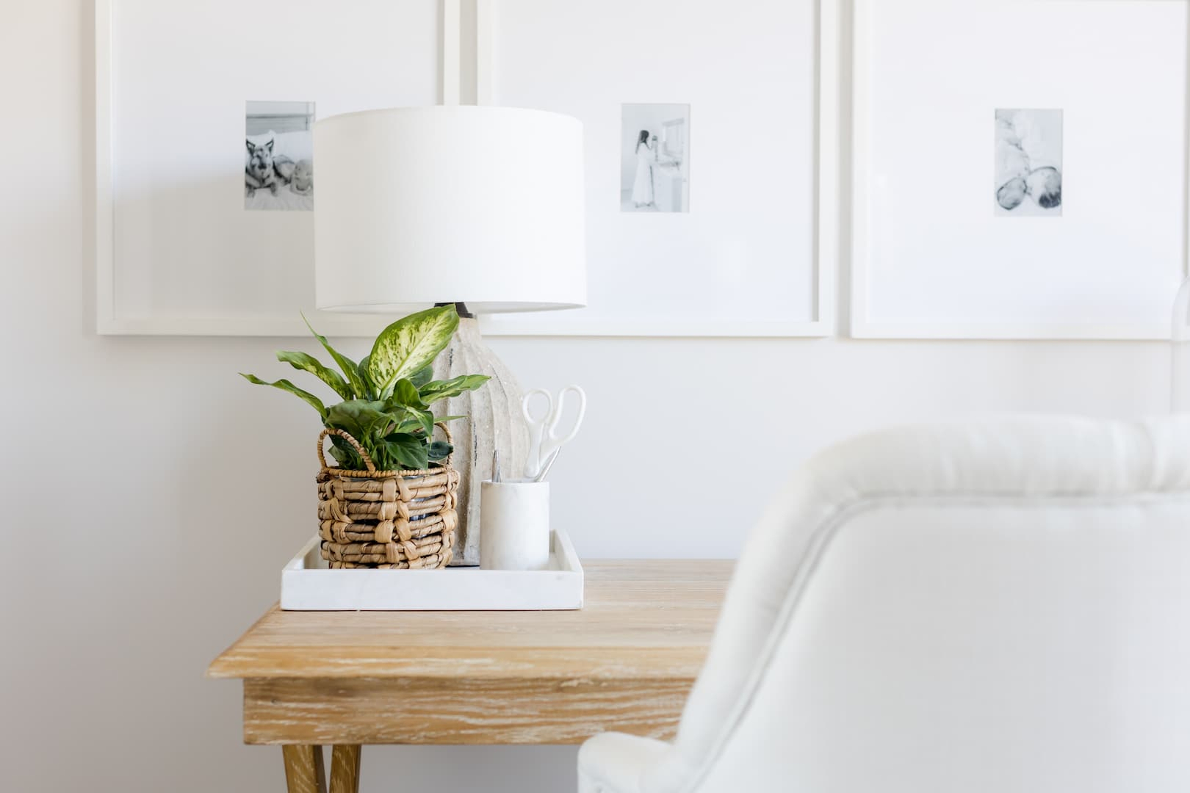 Diffenbachia potted plant on desk with lamp on a wooden table