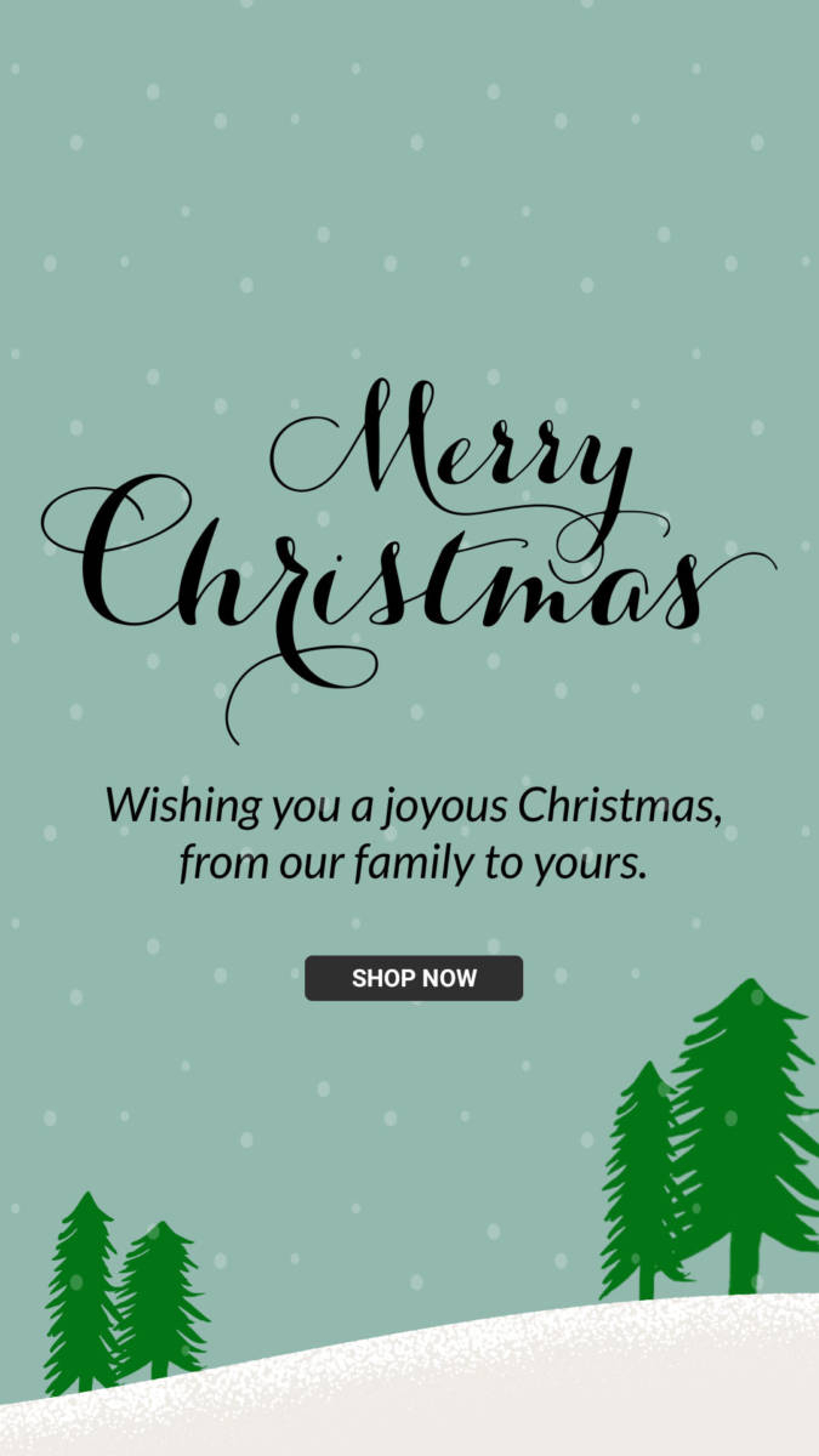 Merry Christmas Christmas Collection Banner ad