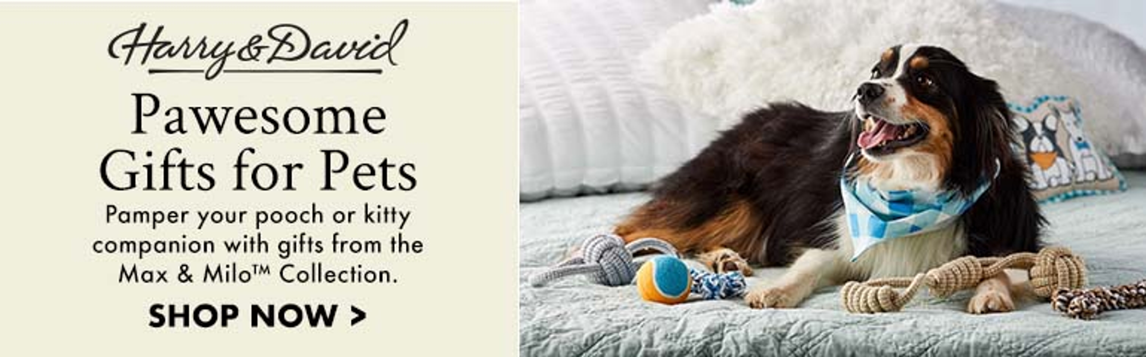 Pawesome Gifts for Pets Max & Milo Collection Banner ad