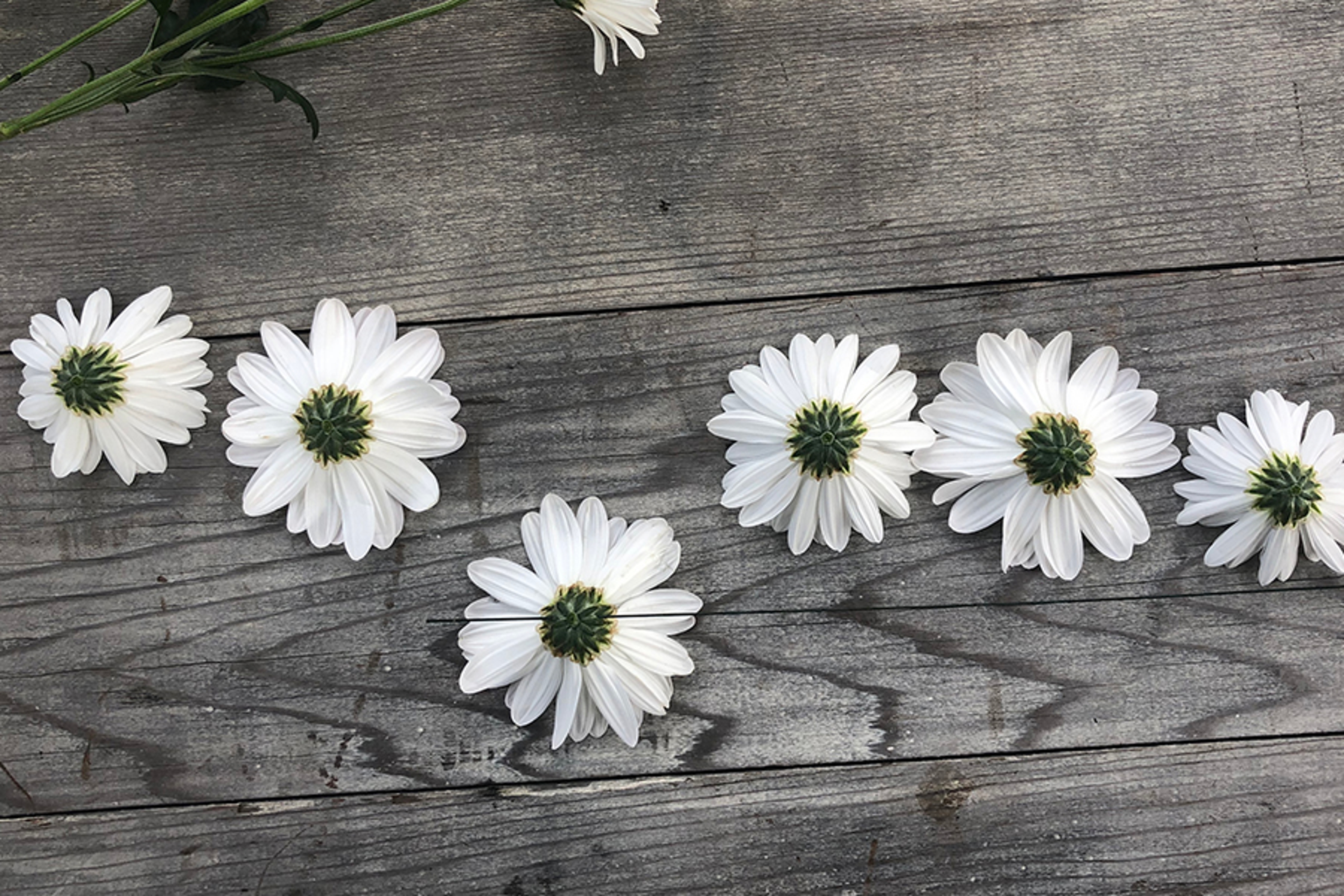 With kindness