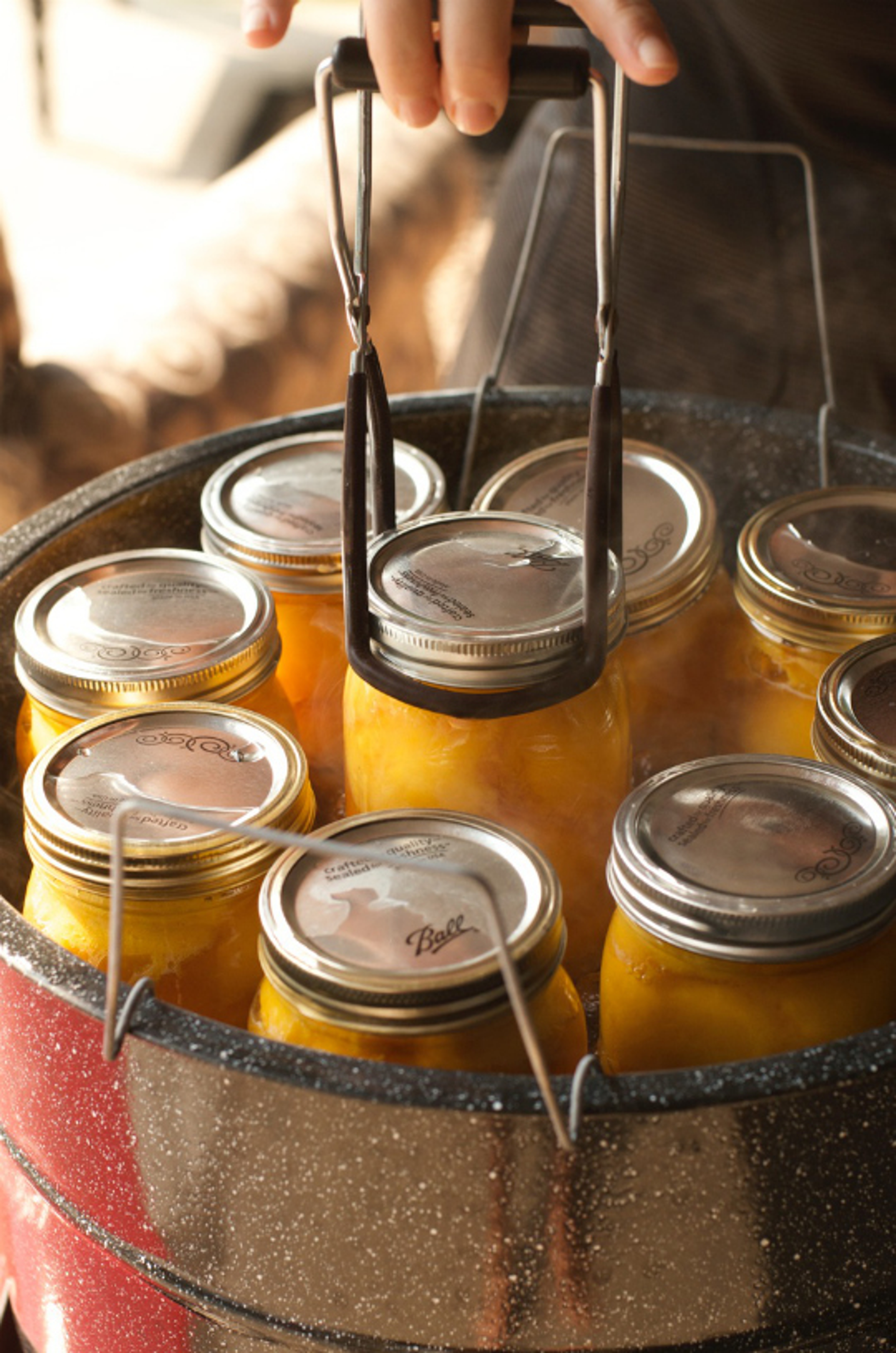 How To Can Peaches Canning Peaches Harry & David