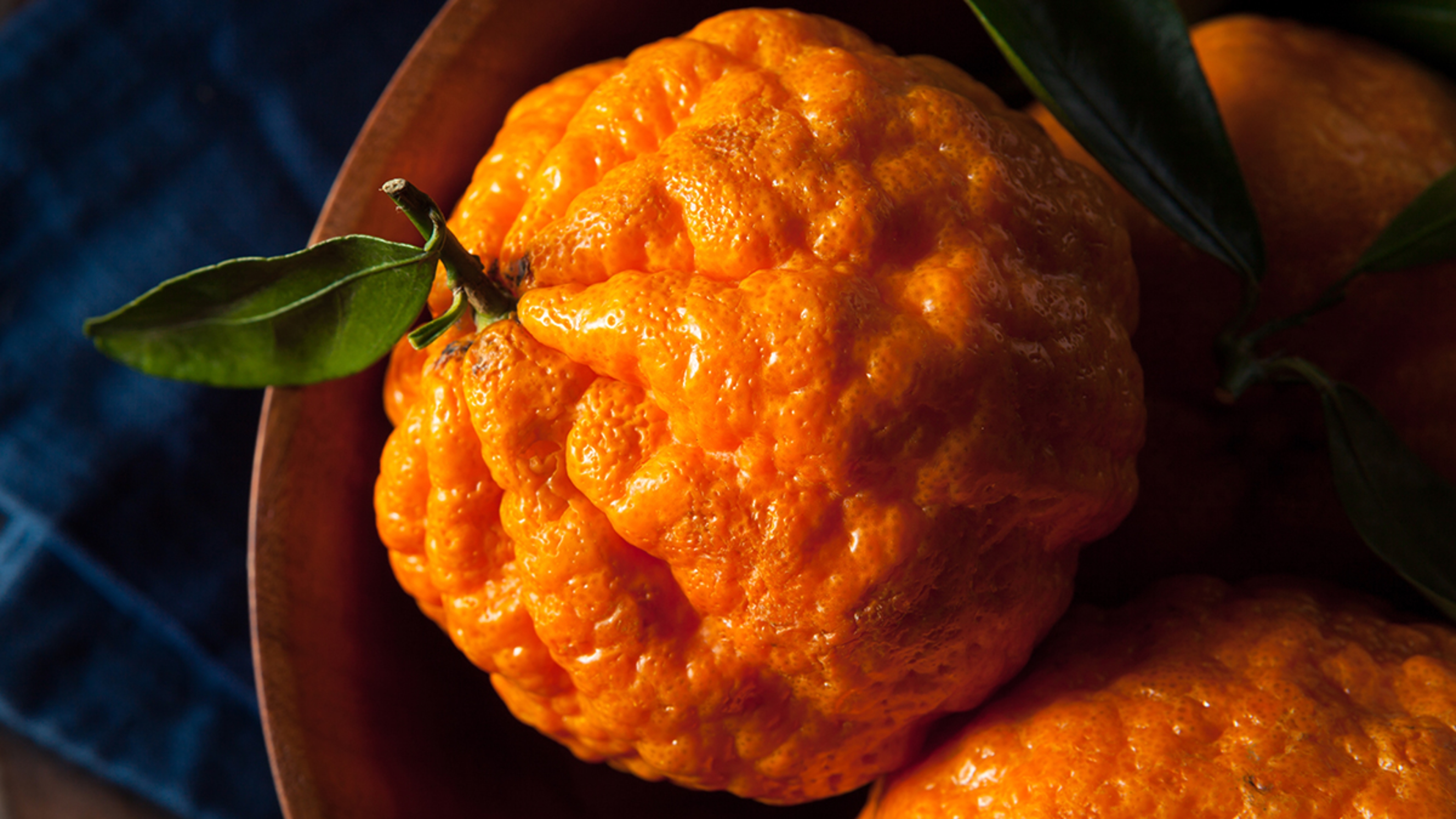 gold nugget mandarin