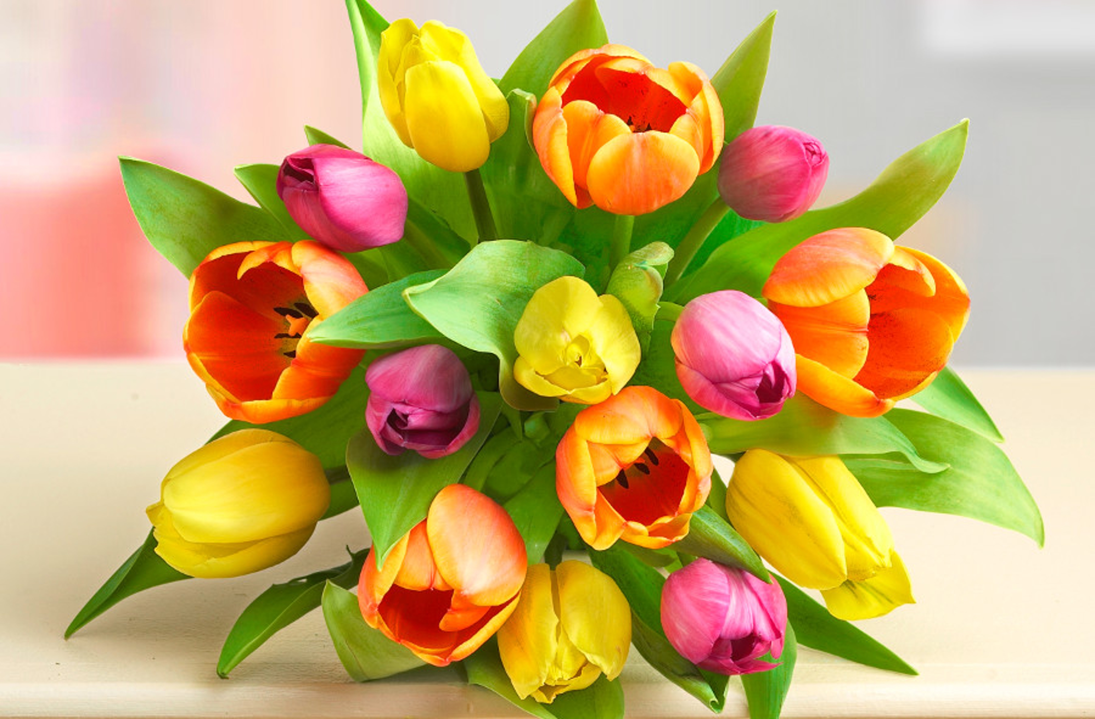 Article Cards Featured Image orange yellow tulips