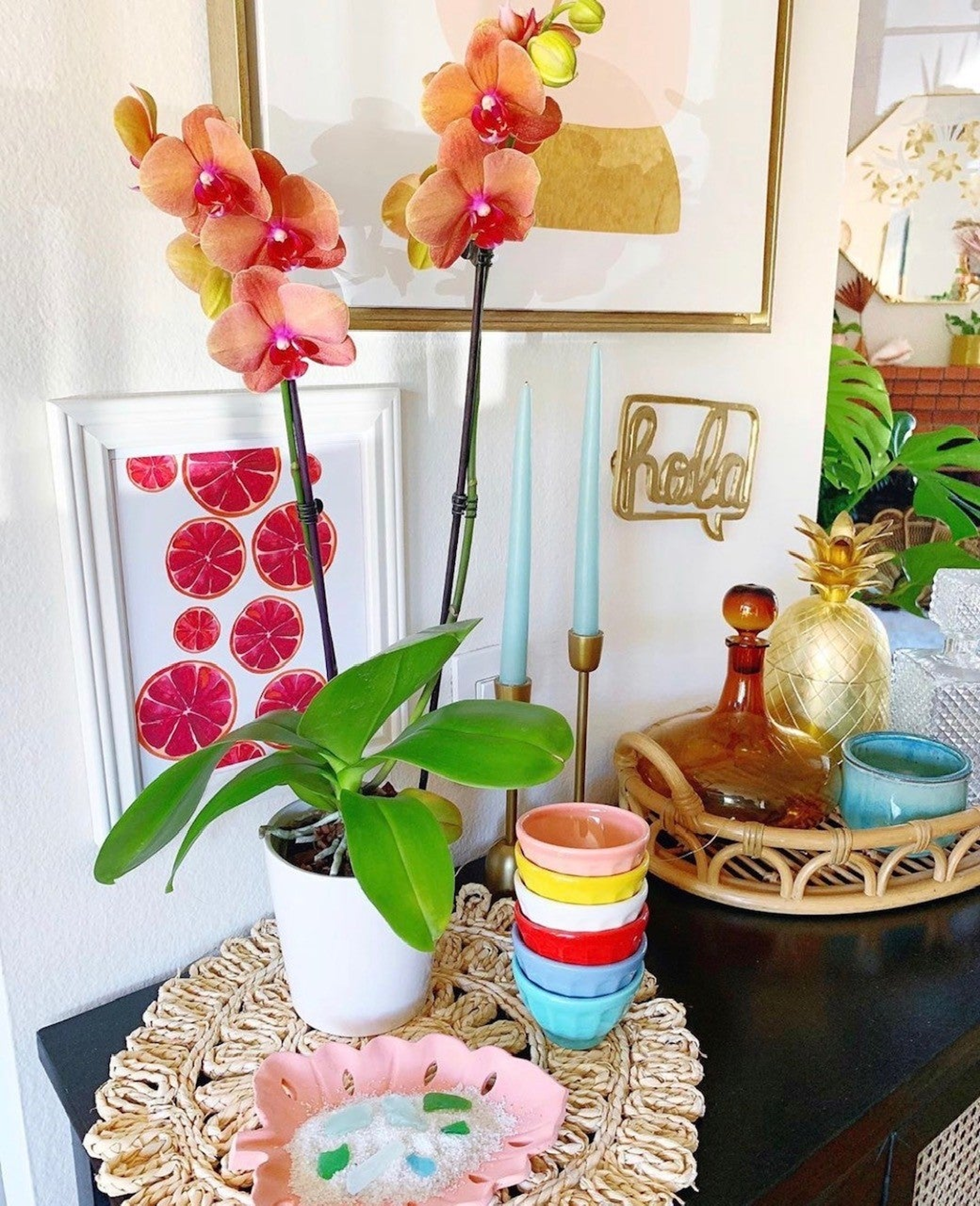 Orange Orchids on a breakfast table in a kitchen