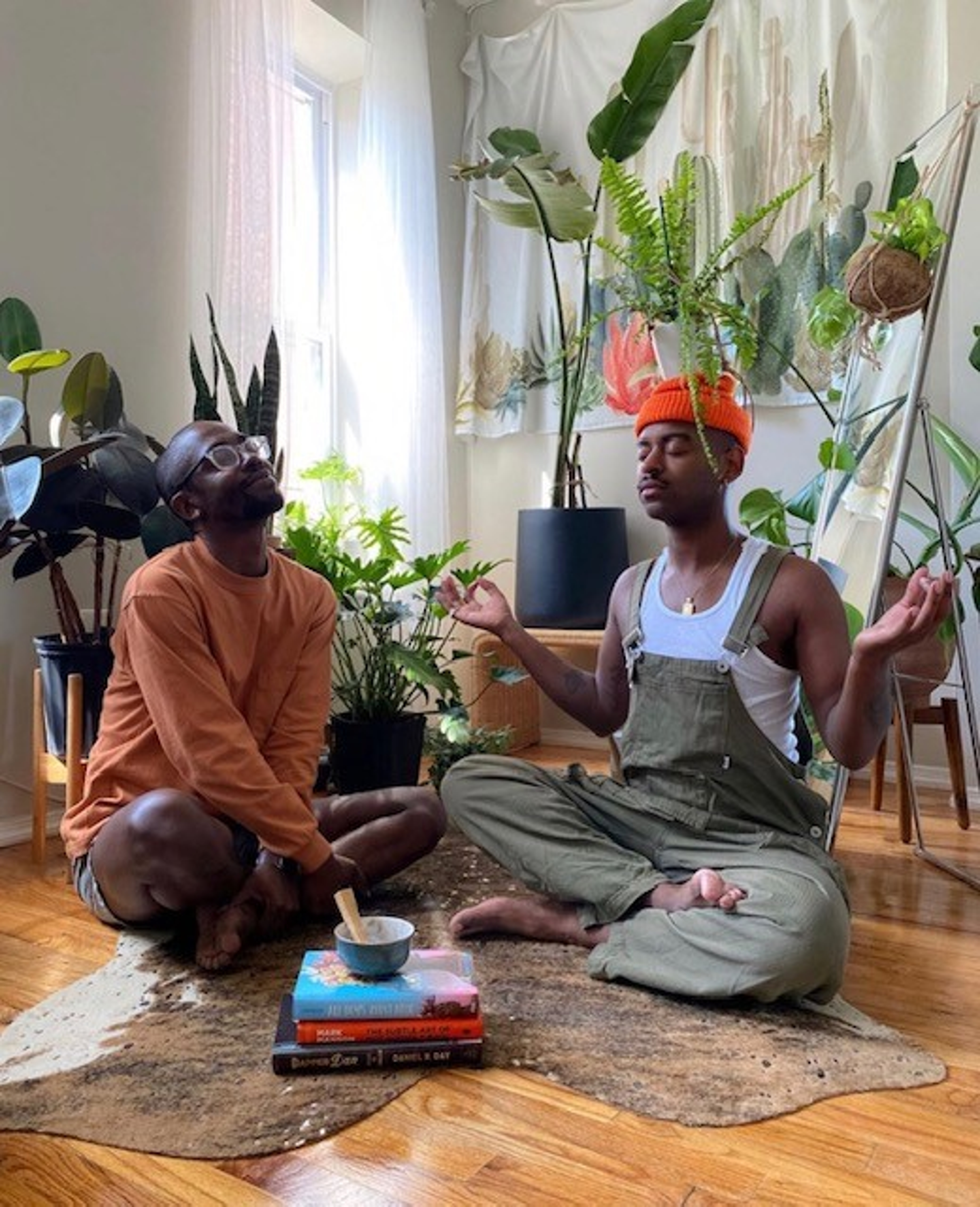 lemon butter fern meditate