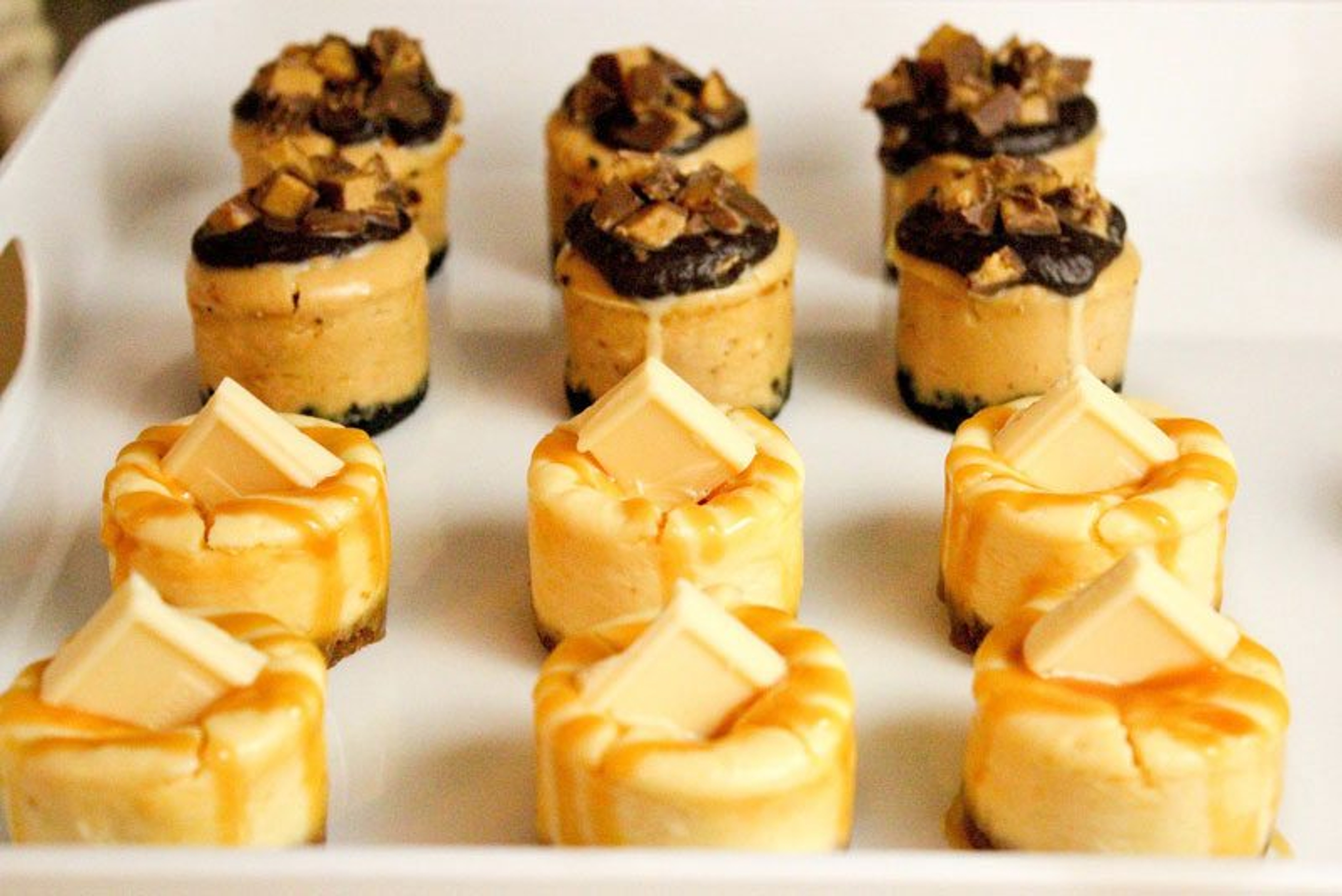 manly mini cheesecakes whiskey chocolate