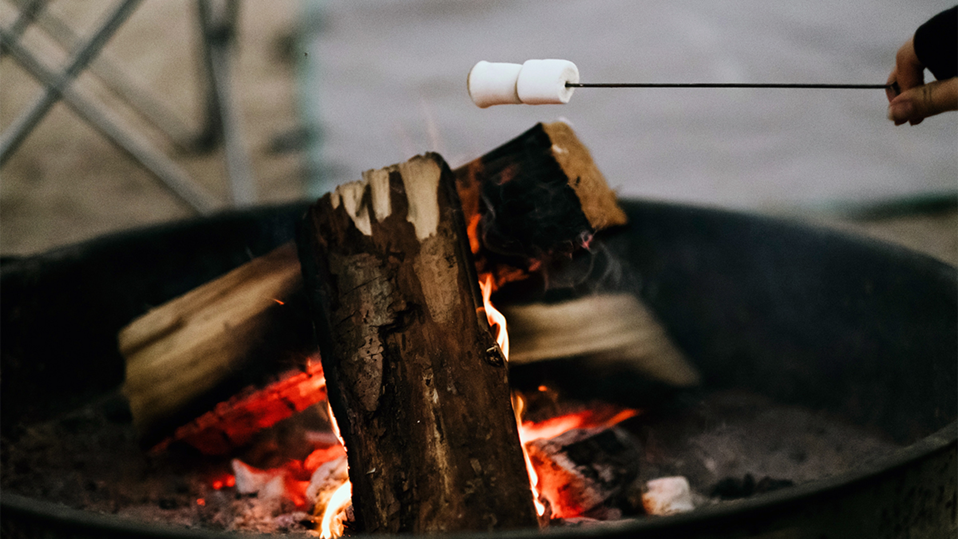 marshmallows roasting for s'mores