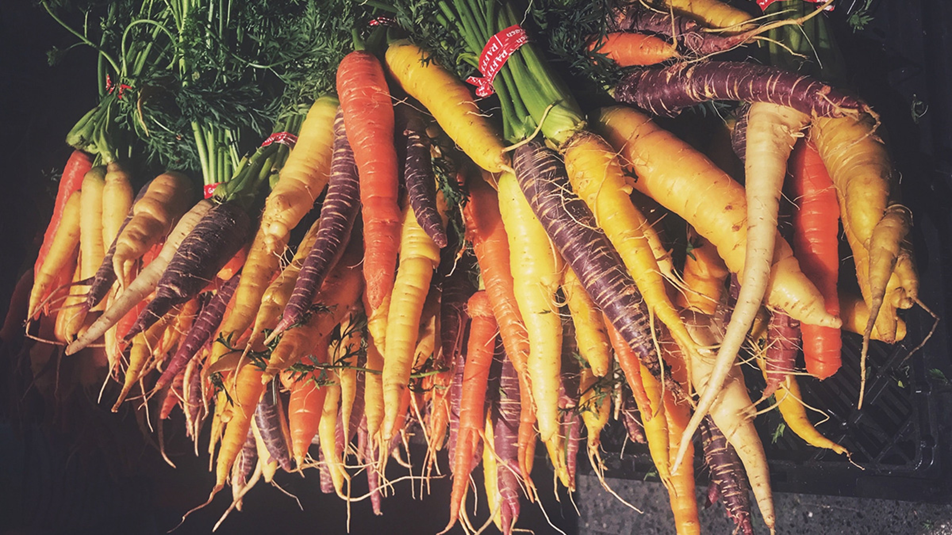 history of carrots different color carrots