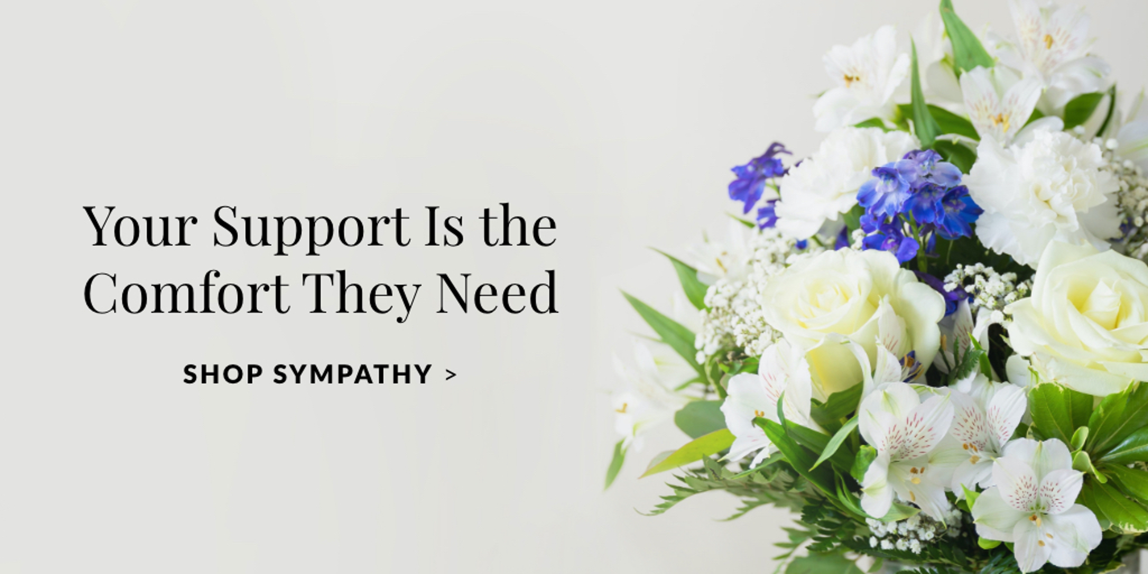 sympathy ad fblog V