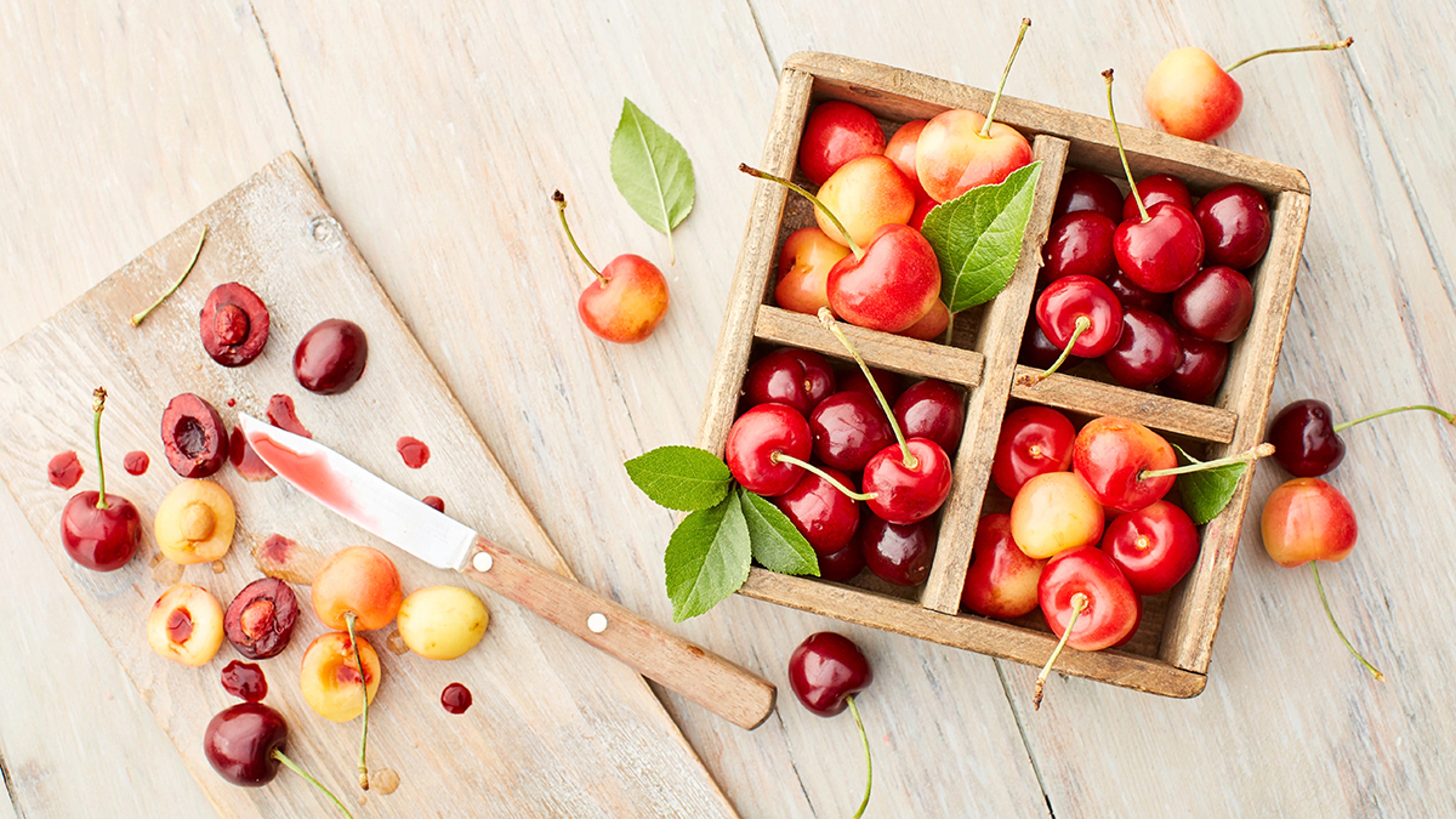 types of cherries hero
