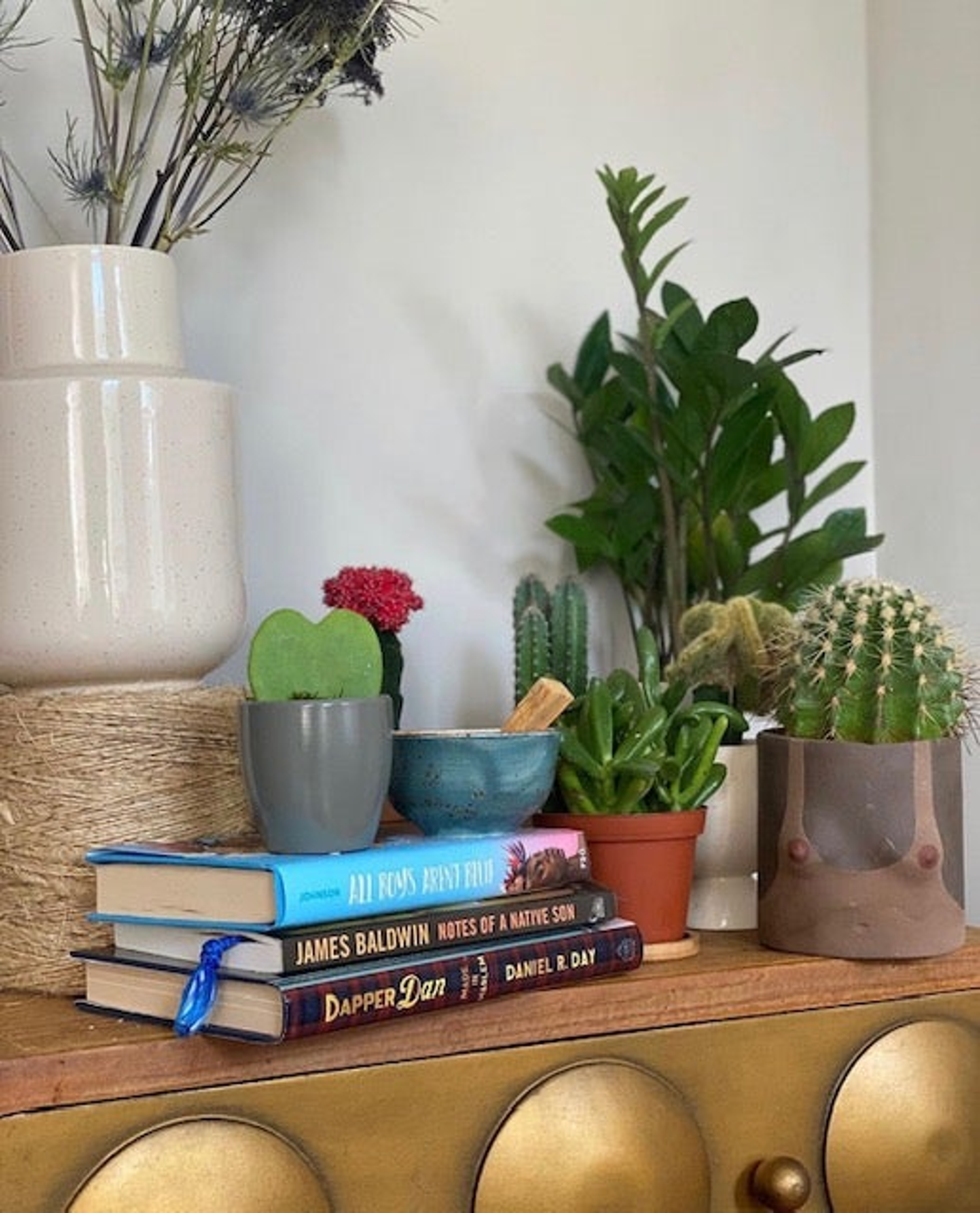 Hoya heart succulent placed ontop of books in table with other plants and cacti