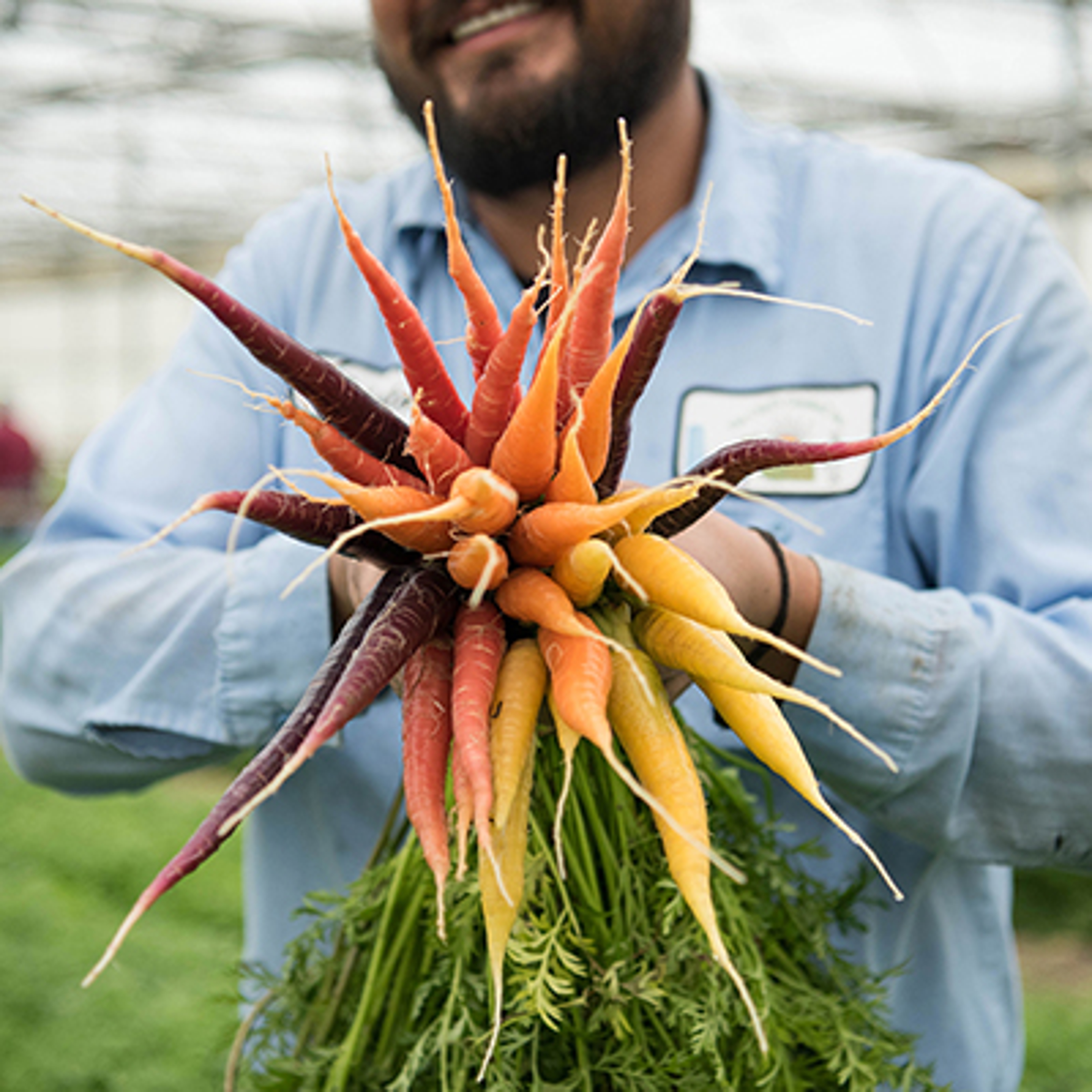 how to keep vegetables fresh carrots