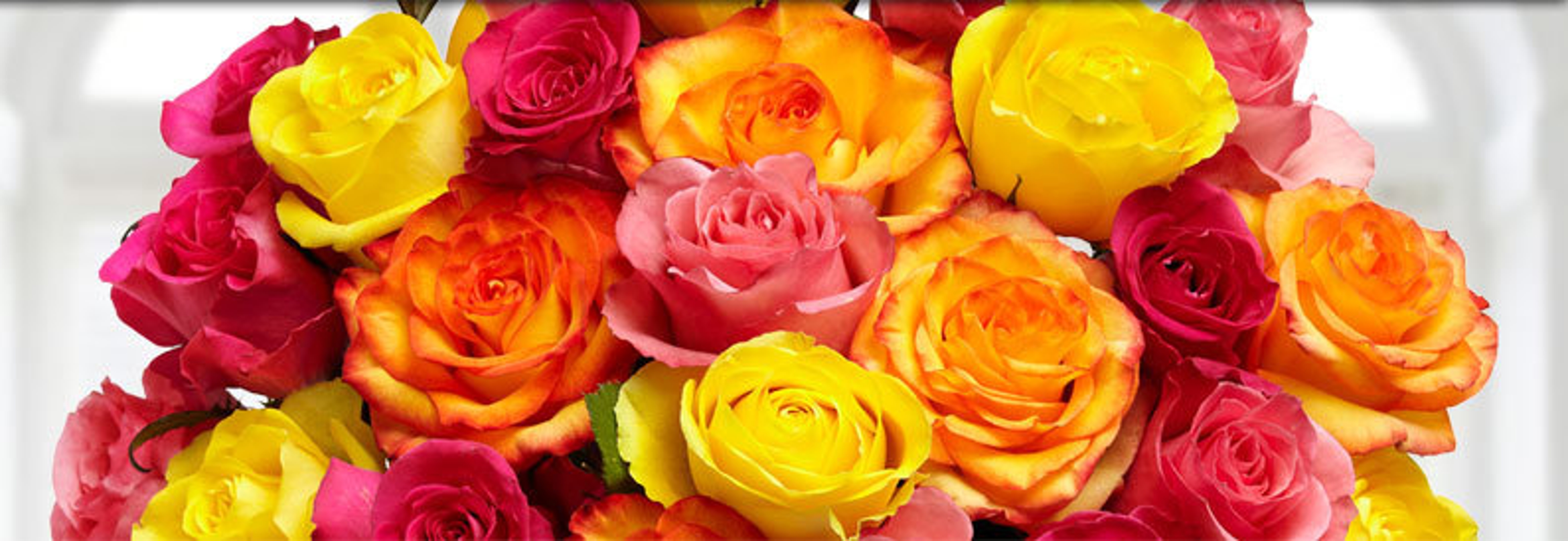 a photo of june birthdays with different color roses