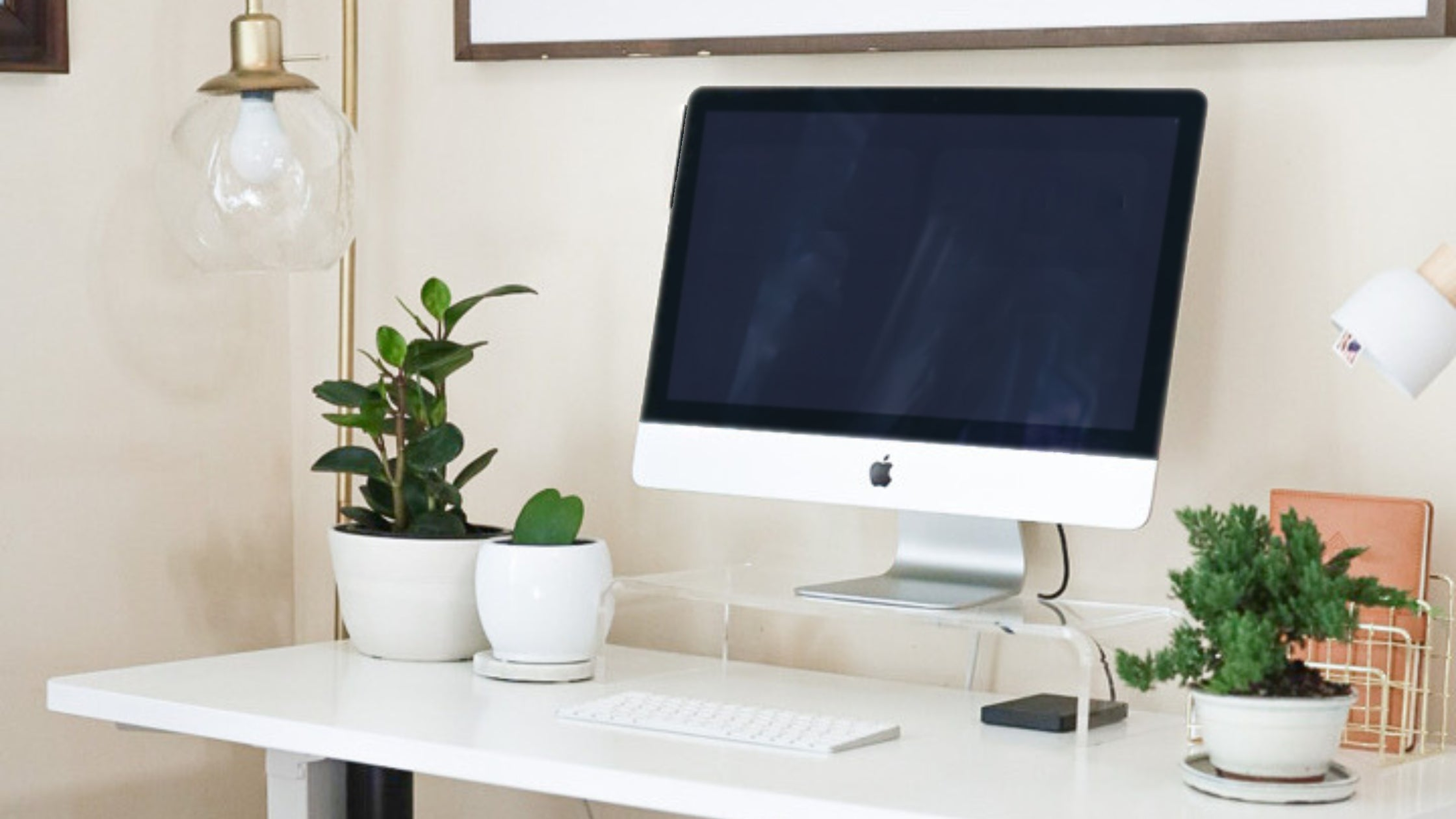 View of a computer sitting on a desk with potted office plants on either side