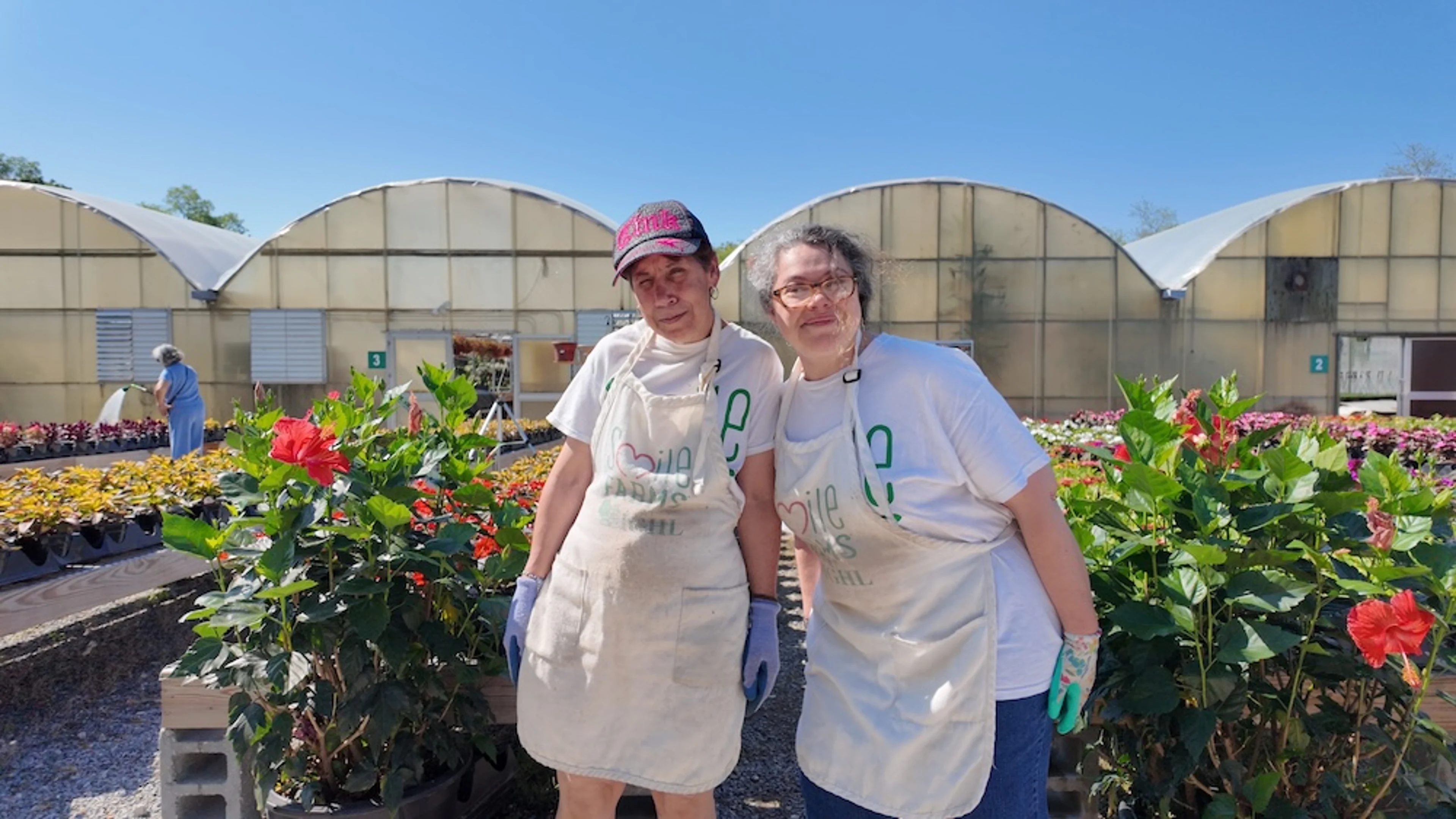 doreen grace smile farms