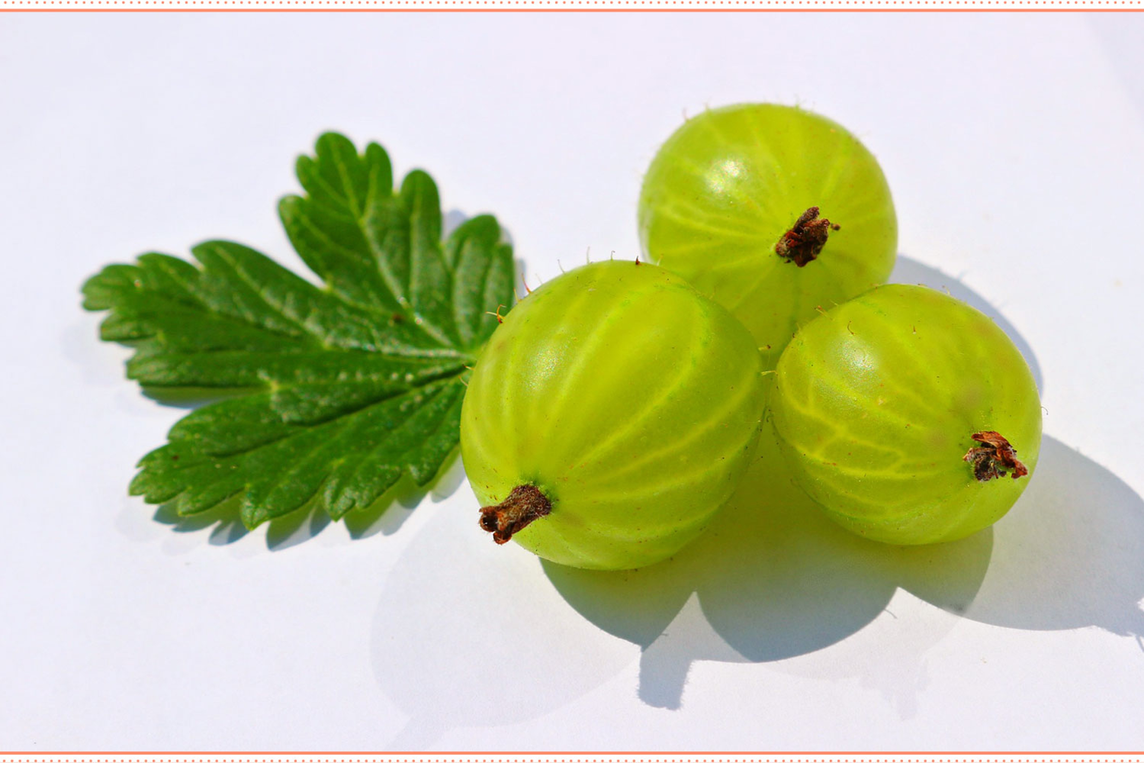 types of fruit gooseberry