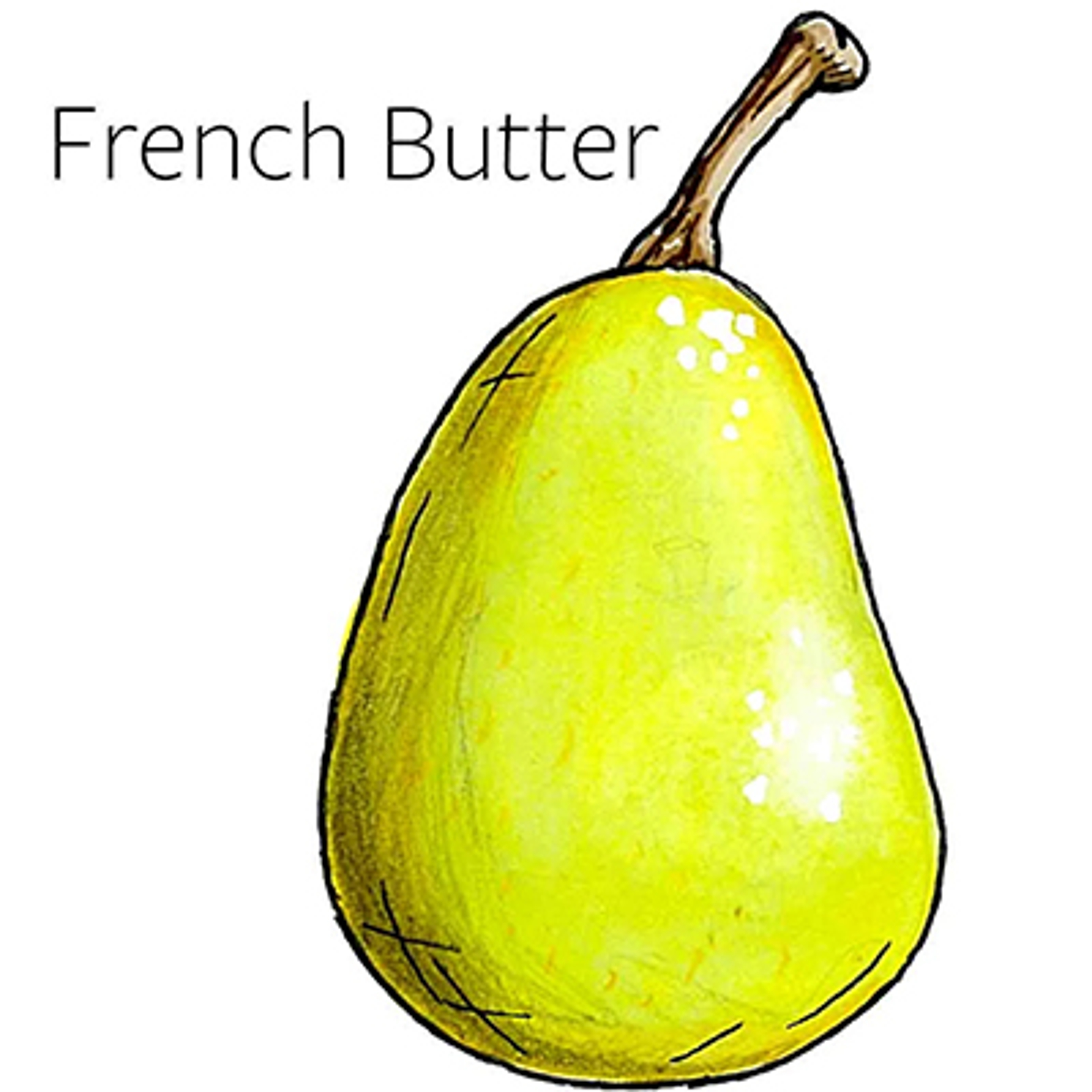 types of pears french butter