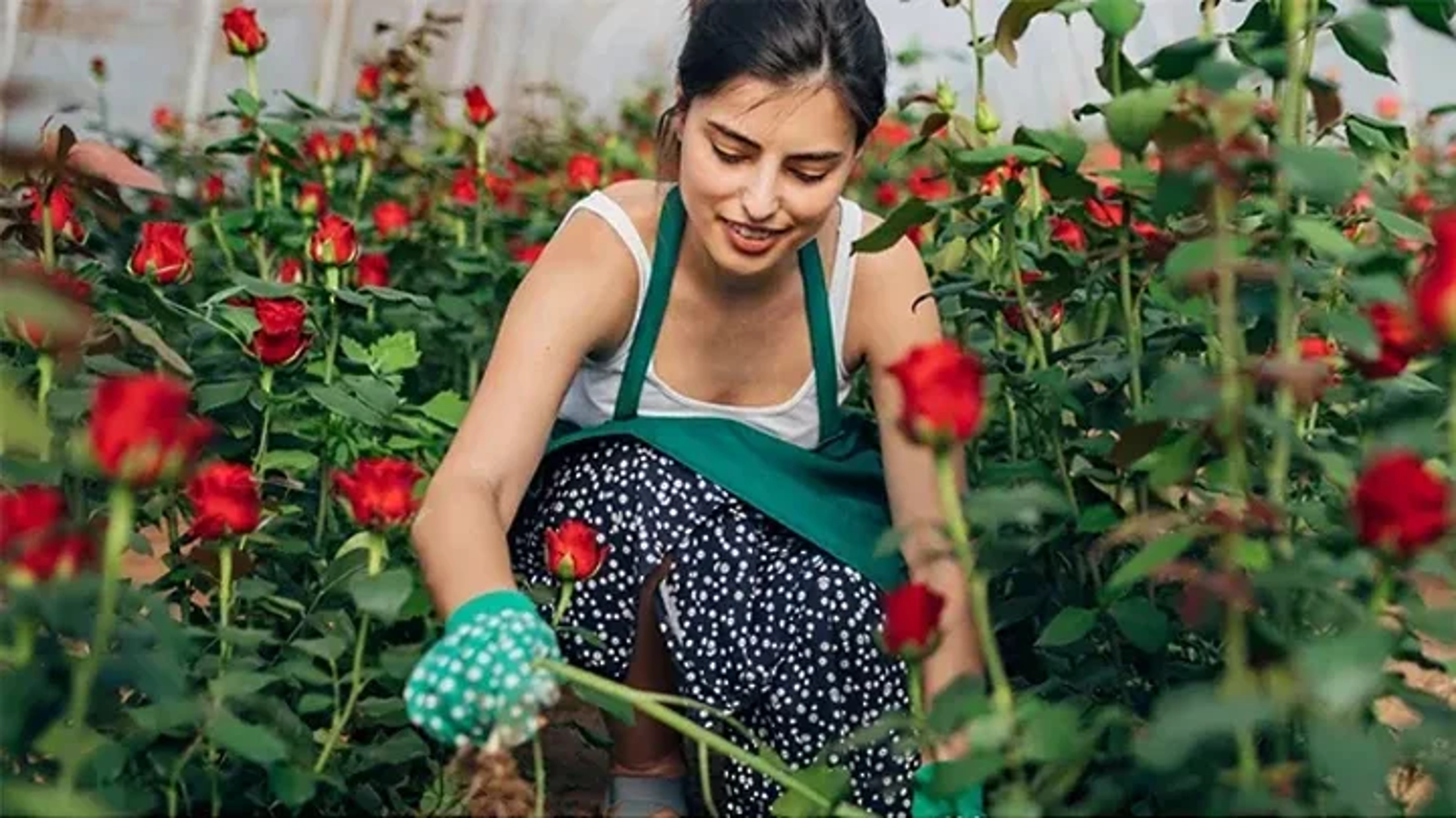 Article Cards Featured Image undefined