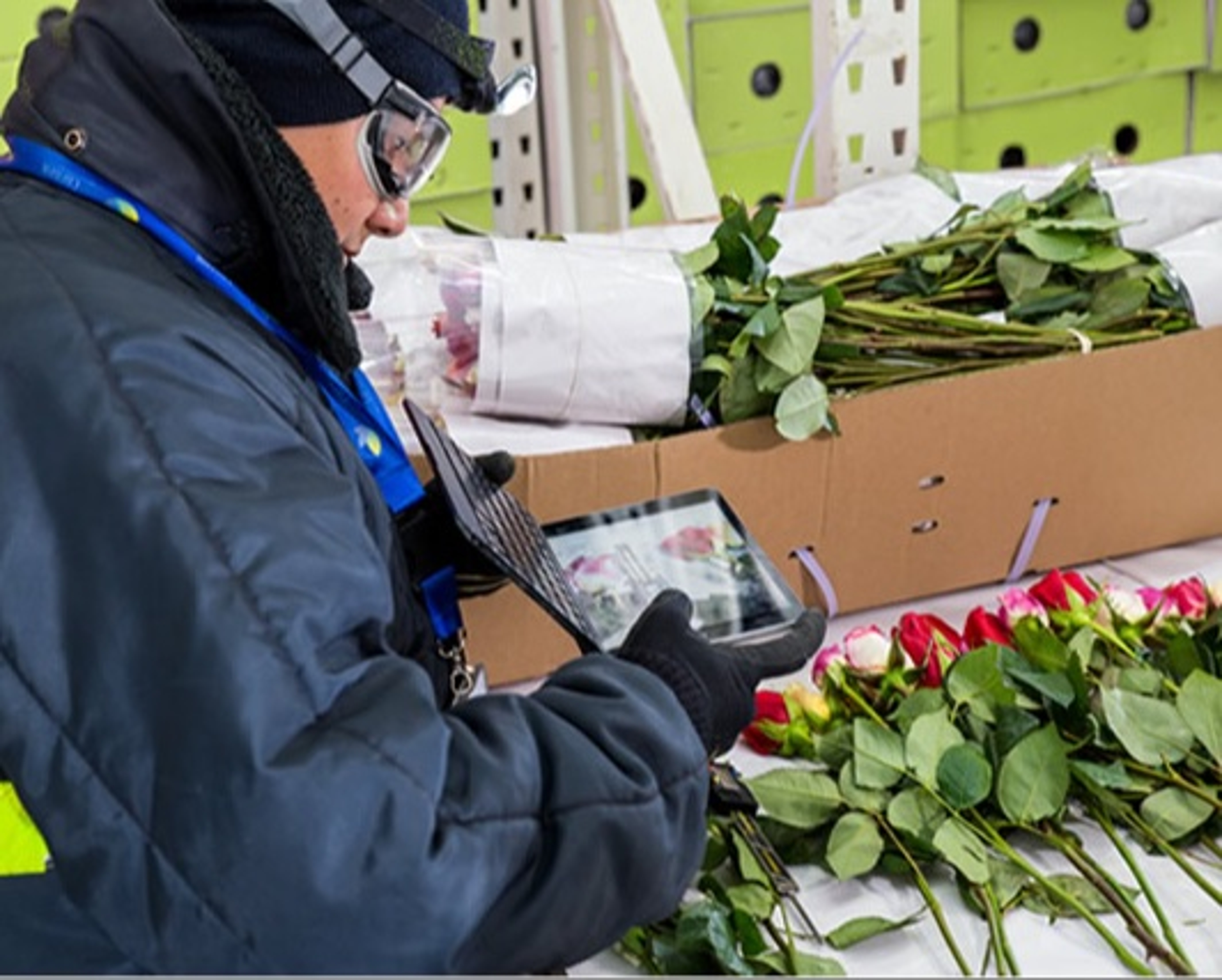 perfect flower inspection