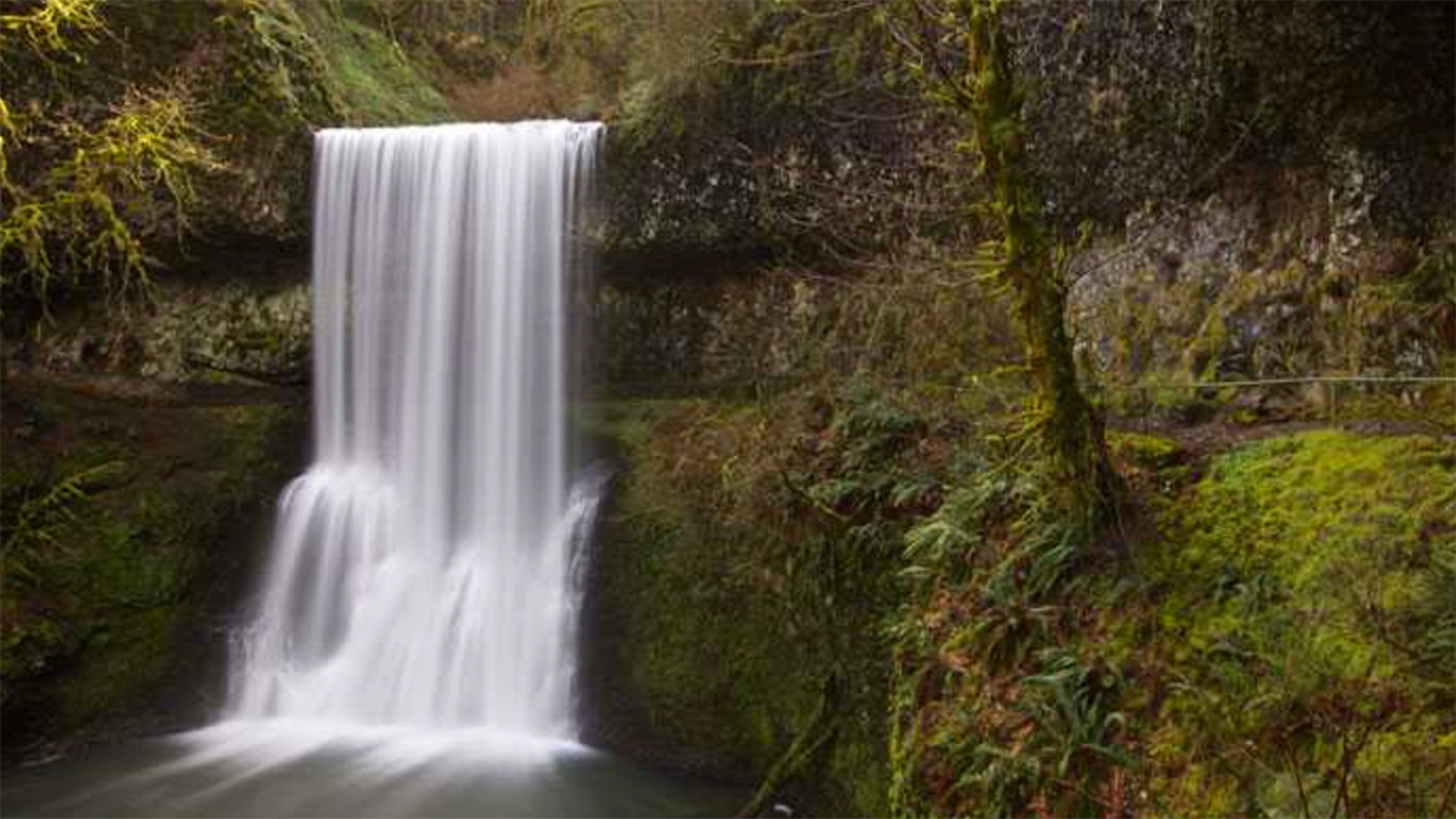 best hikes in us silver falls park