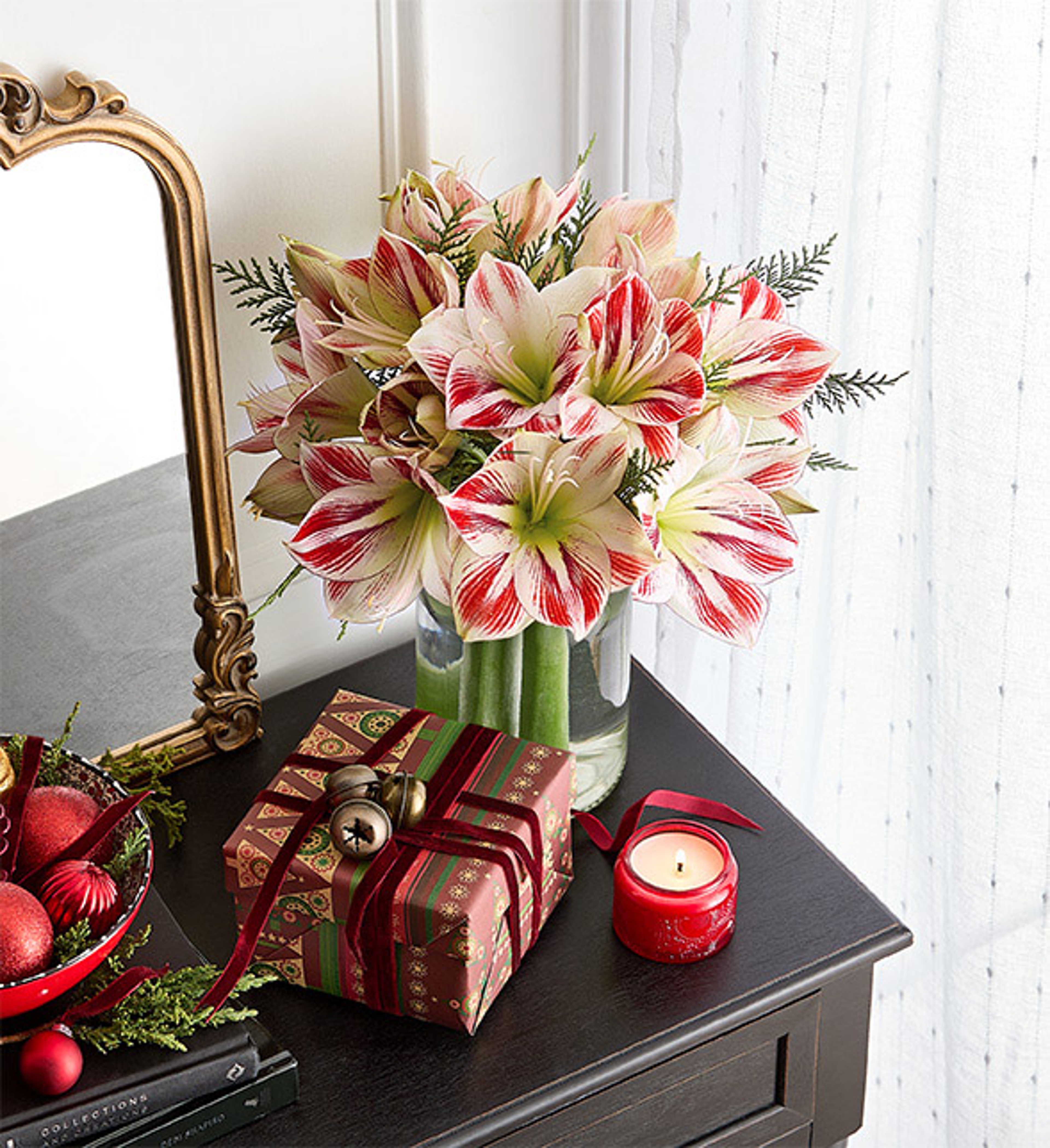 amaryllis facts amaryllis decor