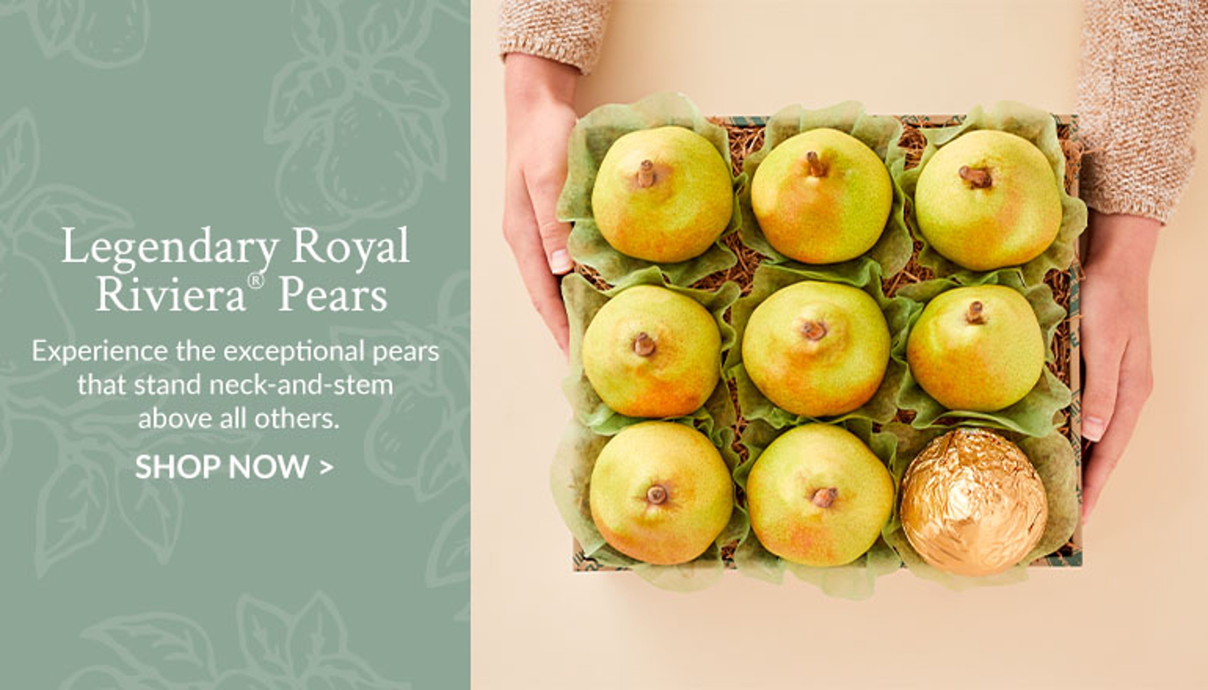 Pear Shop Buttons