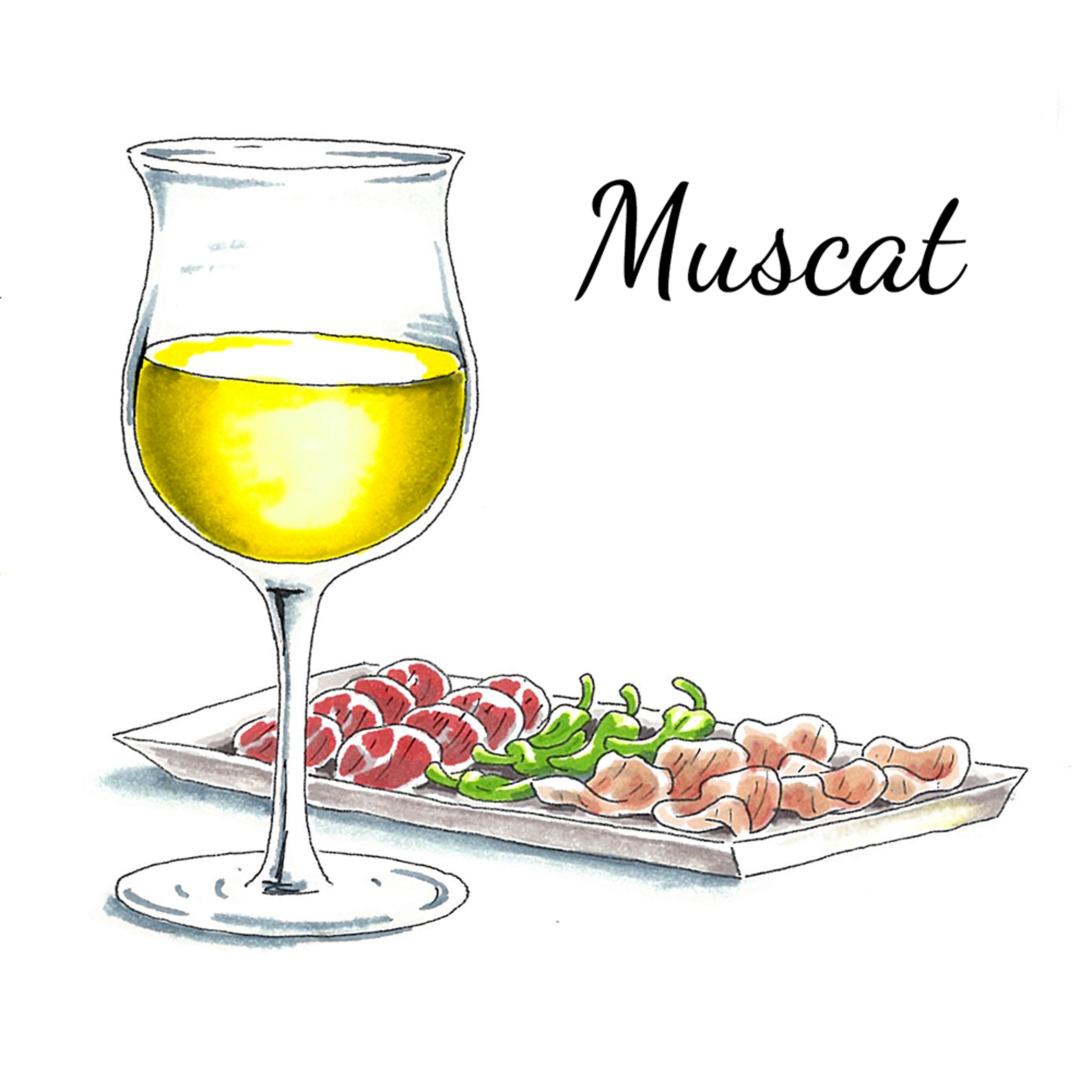 wine regions Muscat