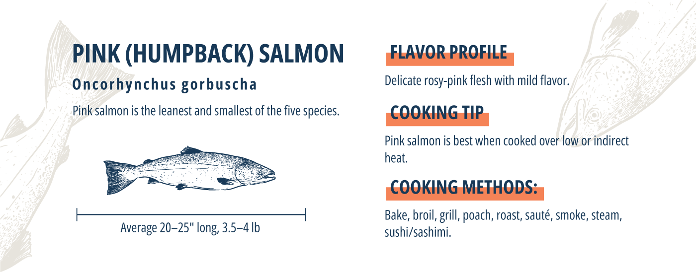 Atlantic Salmon vs Pacific Salmon: What's the Difference? Vital