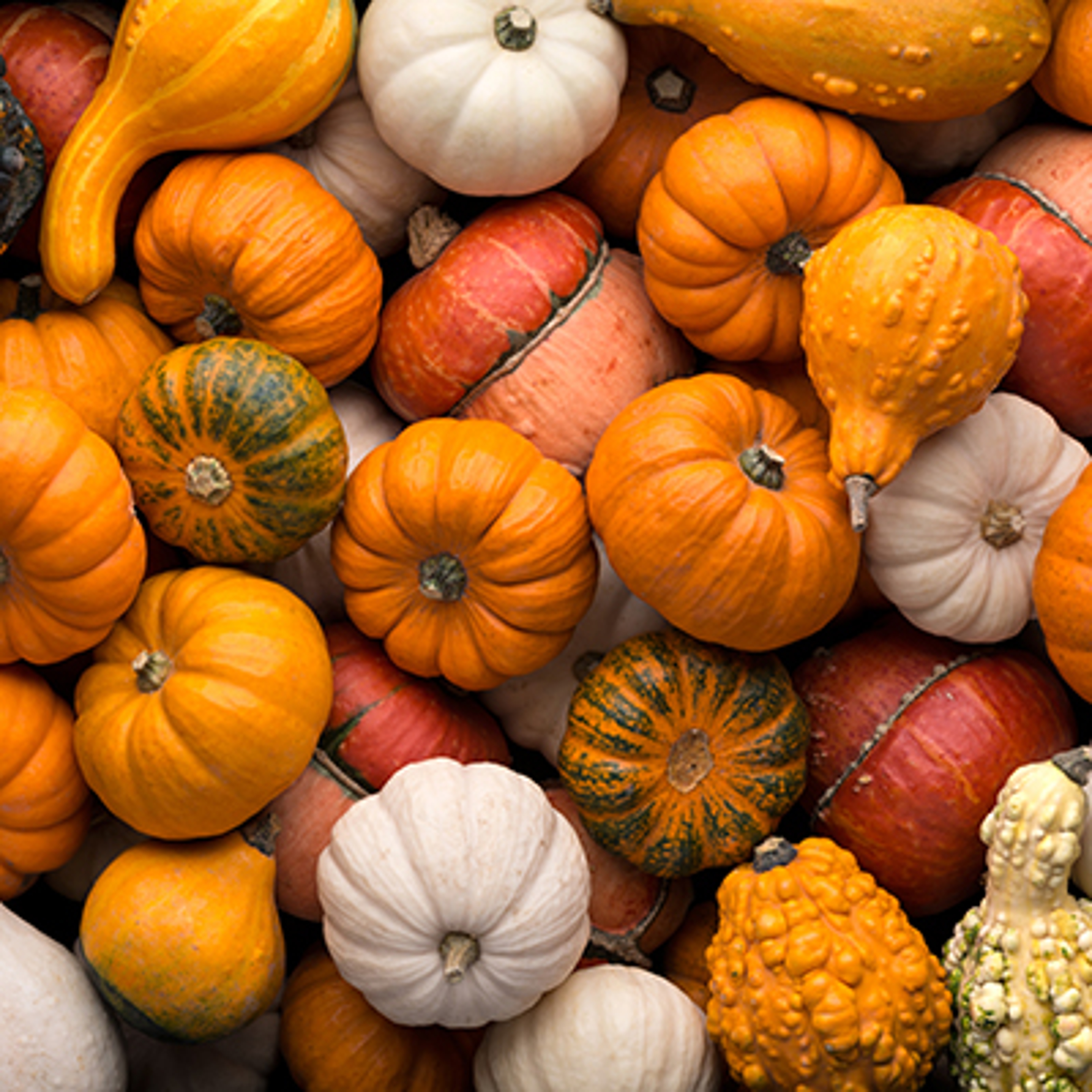 fruit for the new year pumpkins