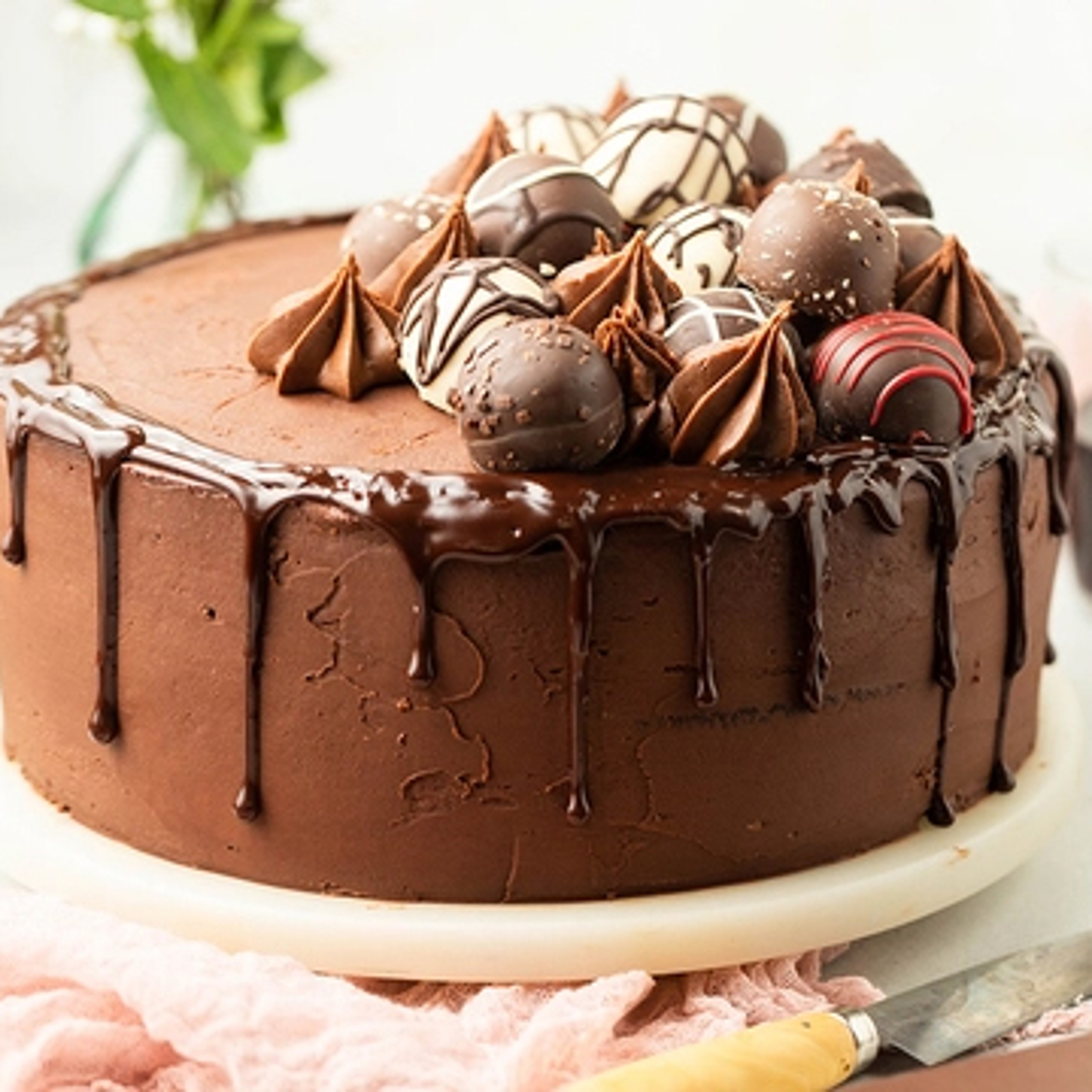 Chocolate cake topped with truffles.