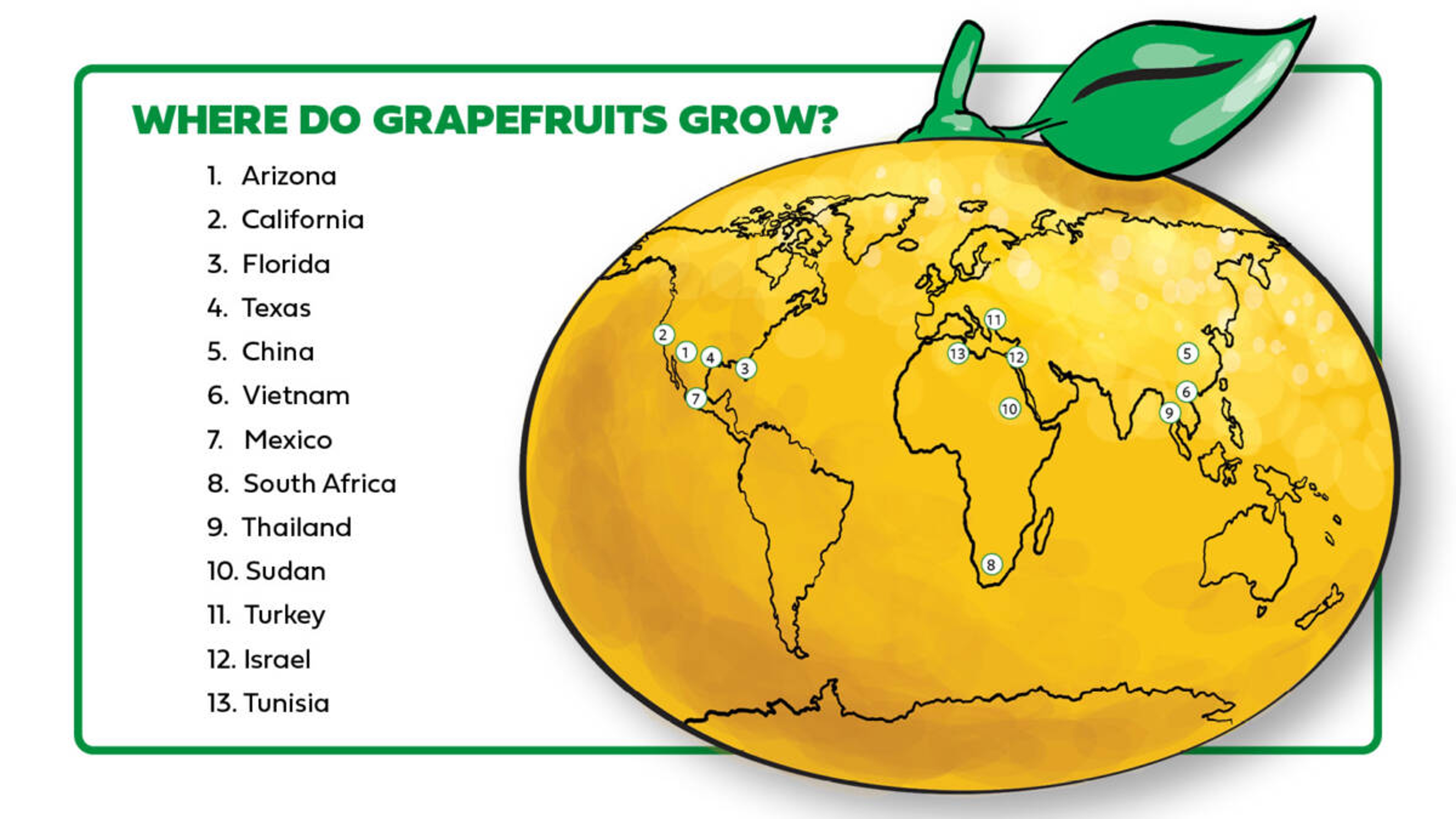 grapefruits growing locations horizontal infographic