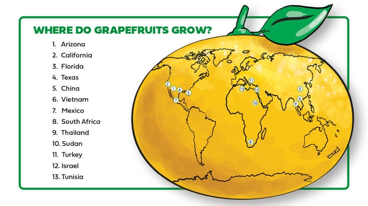 Grapefruit Development Types of Grapefruits: A Guide | The Table by Harry & David