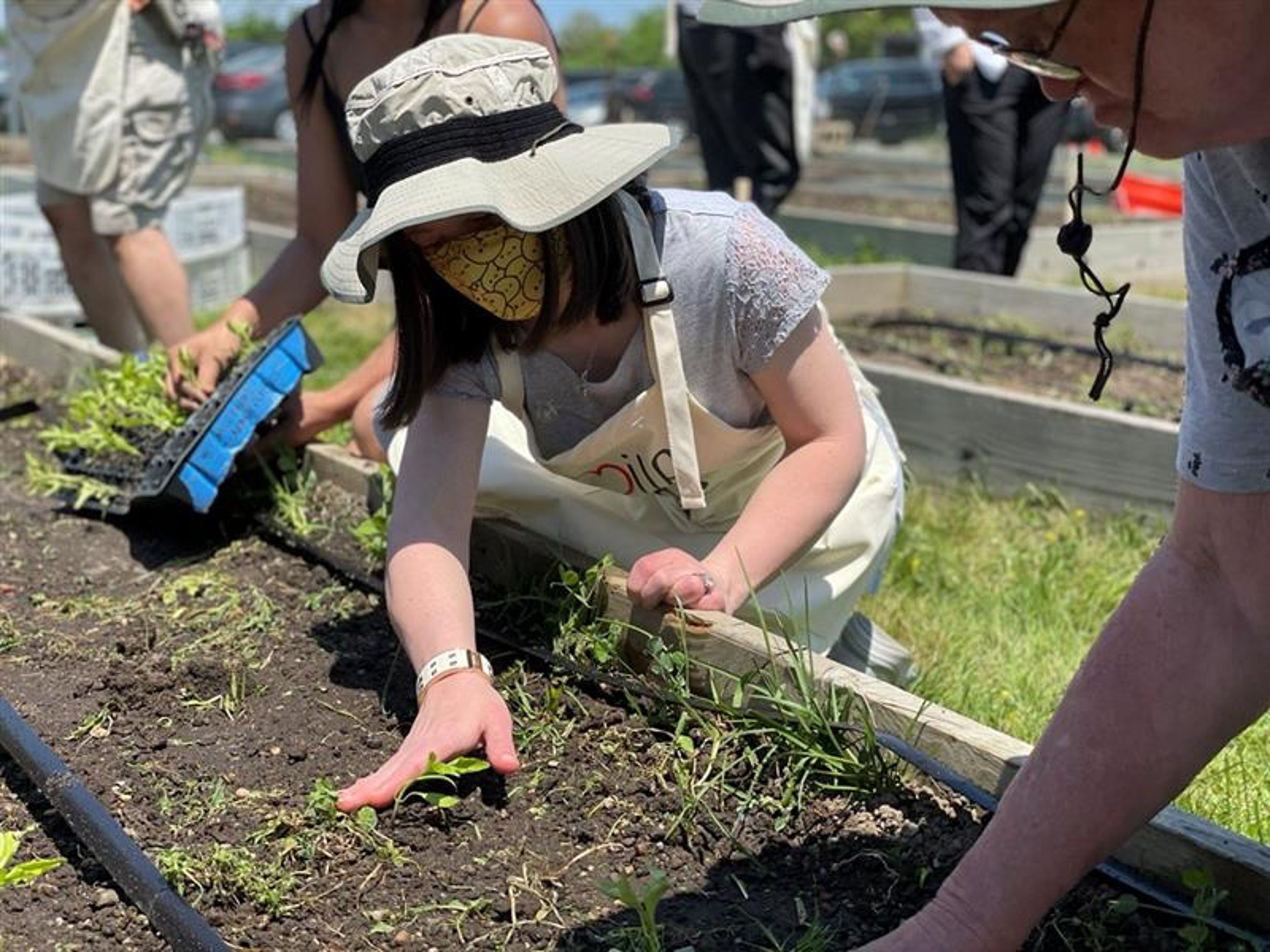 smile farms planting peppers