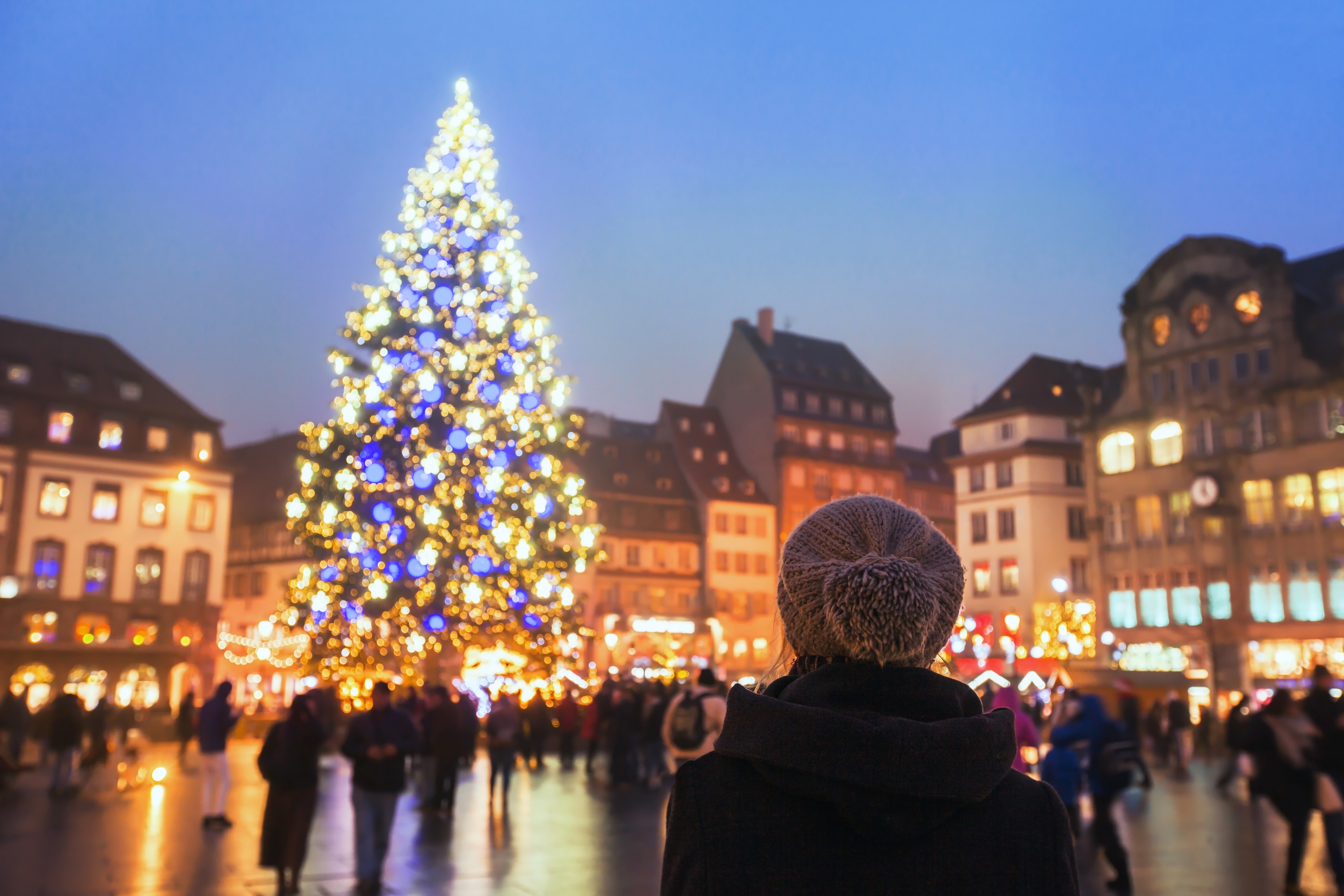 Article Cards Featured Image christmas around the world christmas tree at christmas market in france