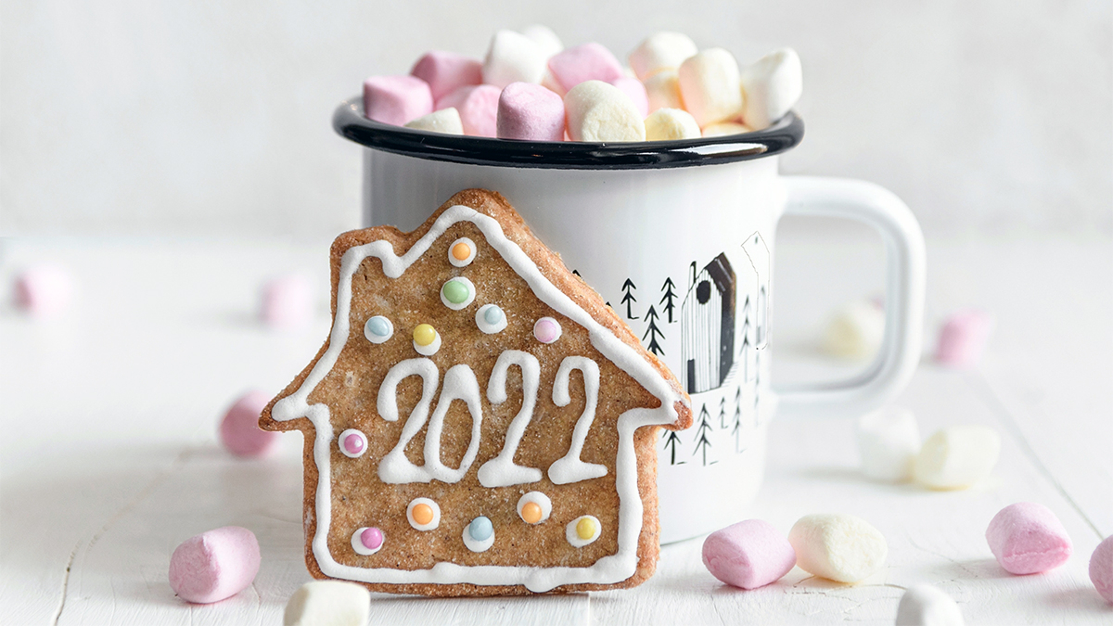 hot cocoa and gingerbread cookie