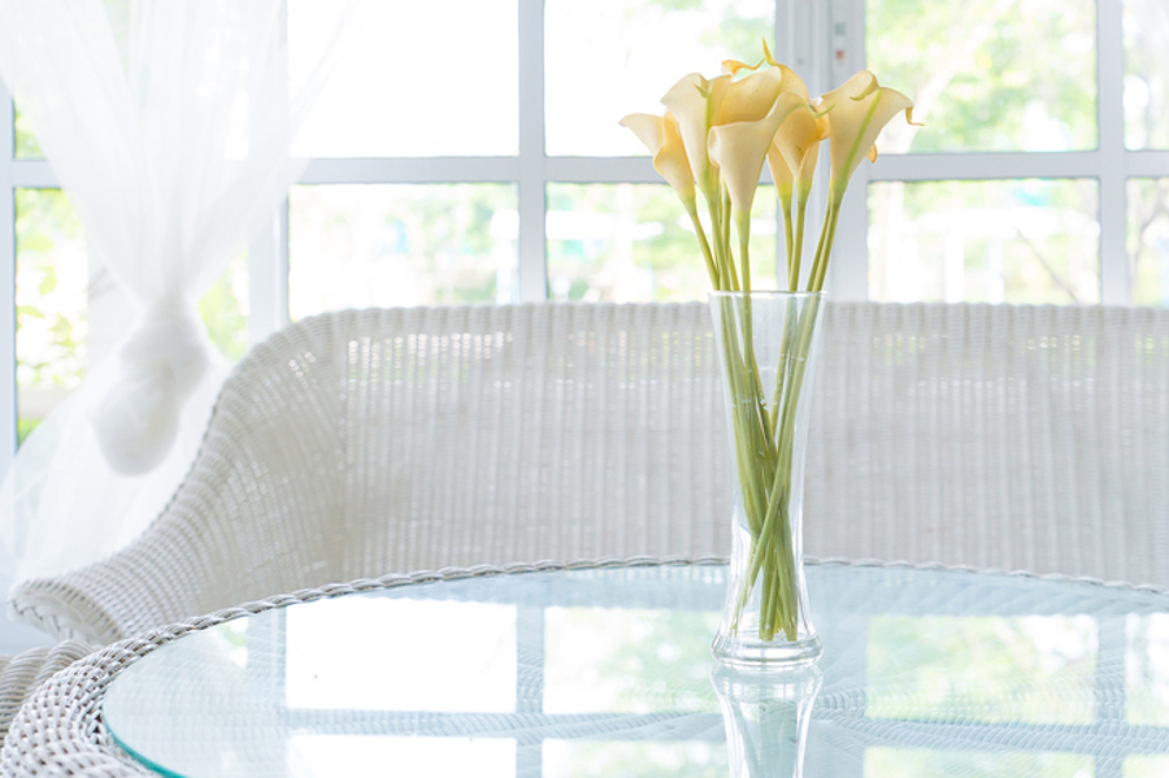 Article Cards Featured Image Yellow flower in vase on table and window sill background. Vintage style decorate