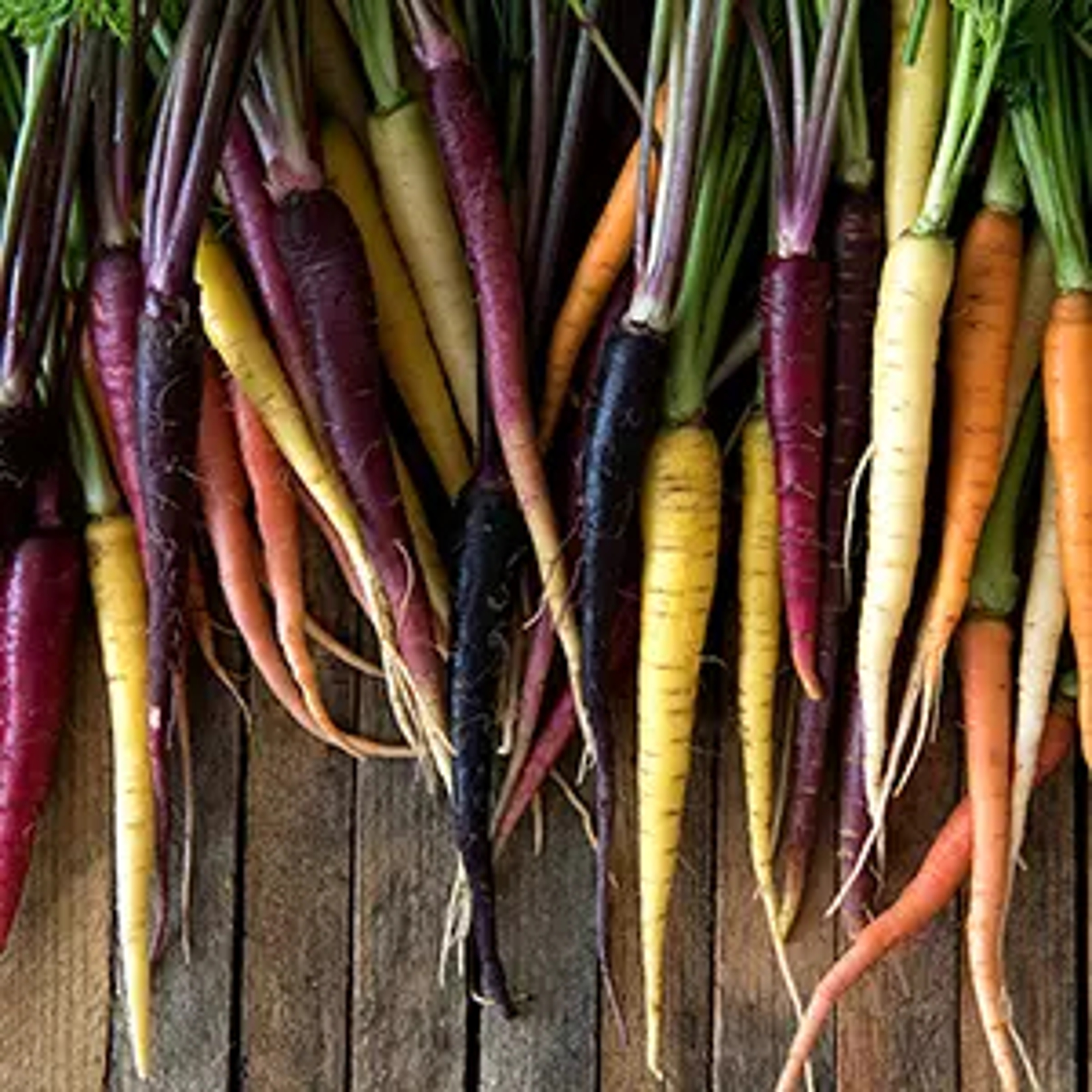 Assortment of heritage, normal and rainbow carrots