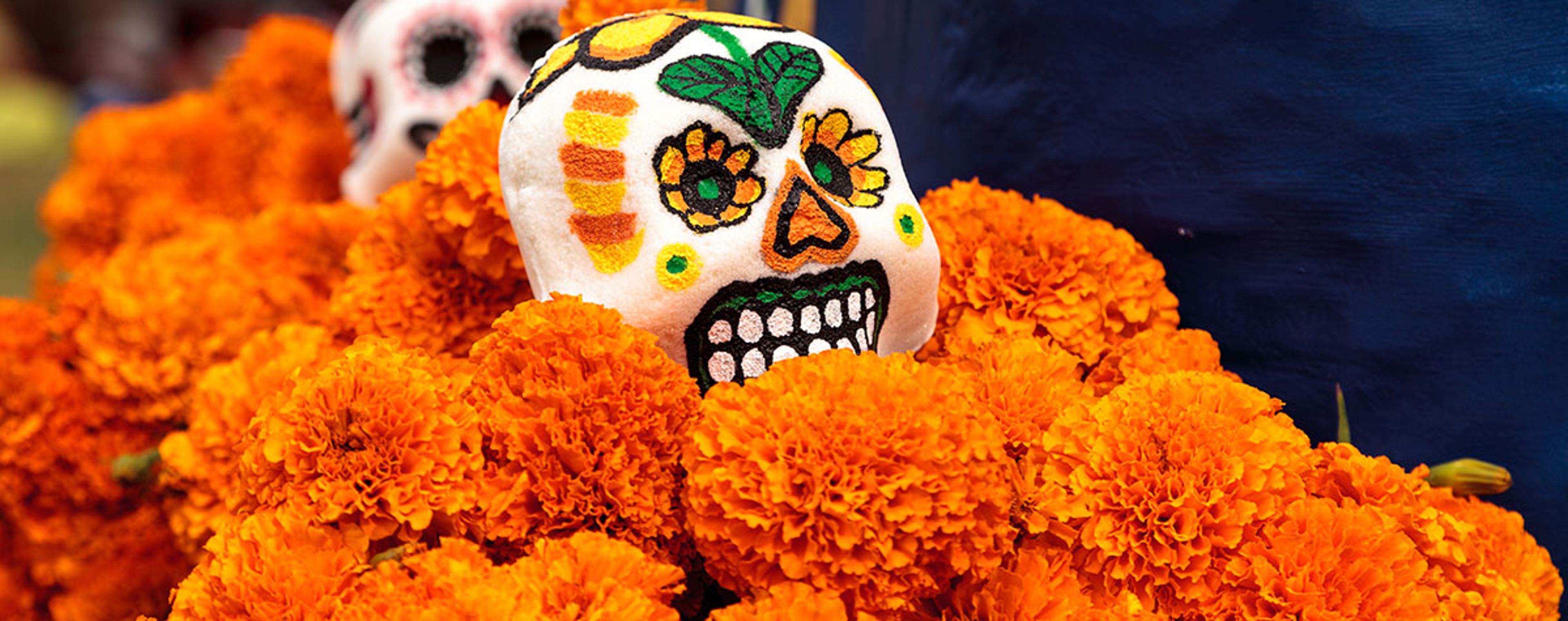 Day of the Dead Sugar Skull surrounded by orange flowers