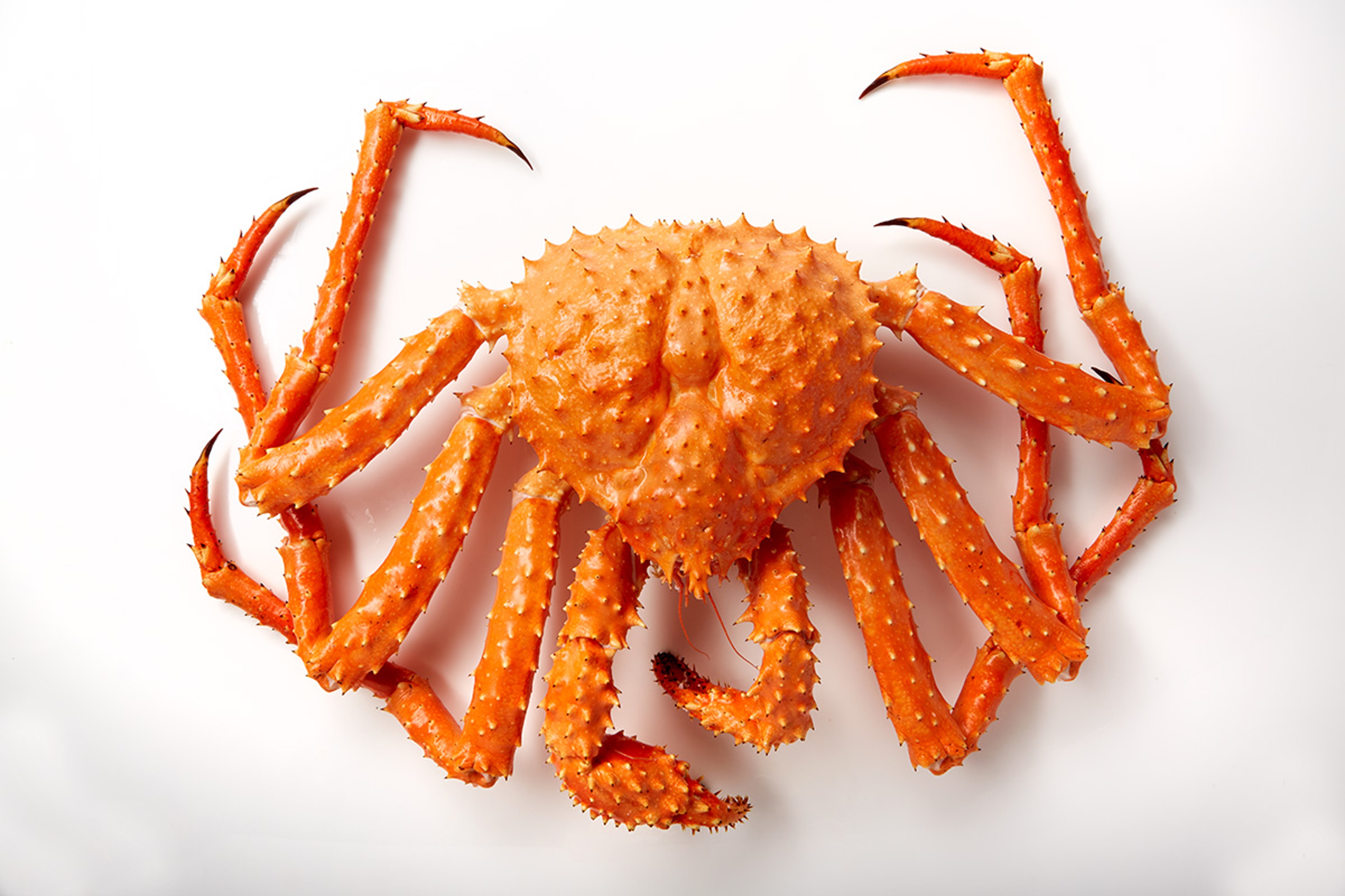 Article Cards Featured Image undefined