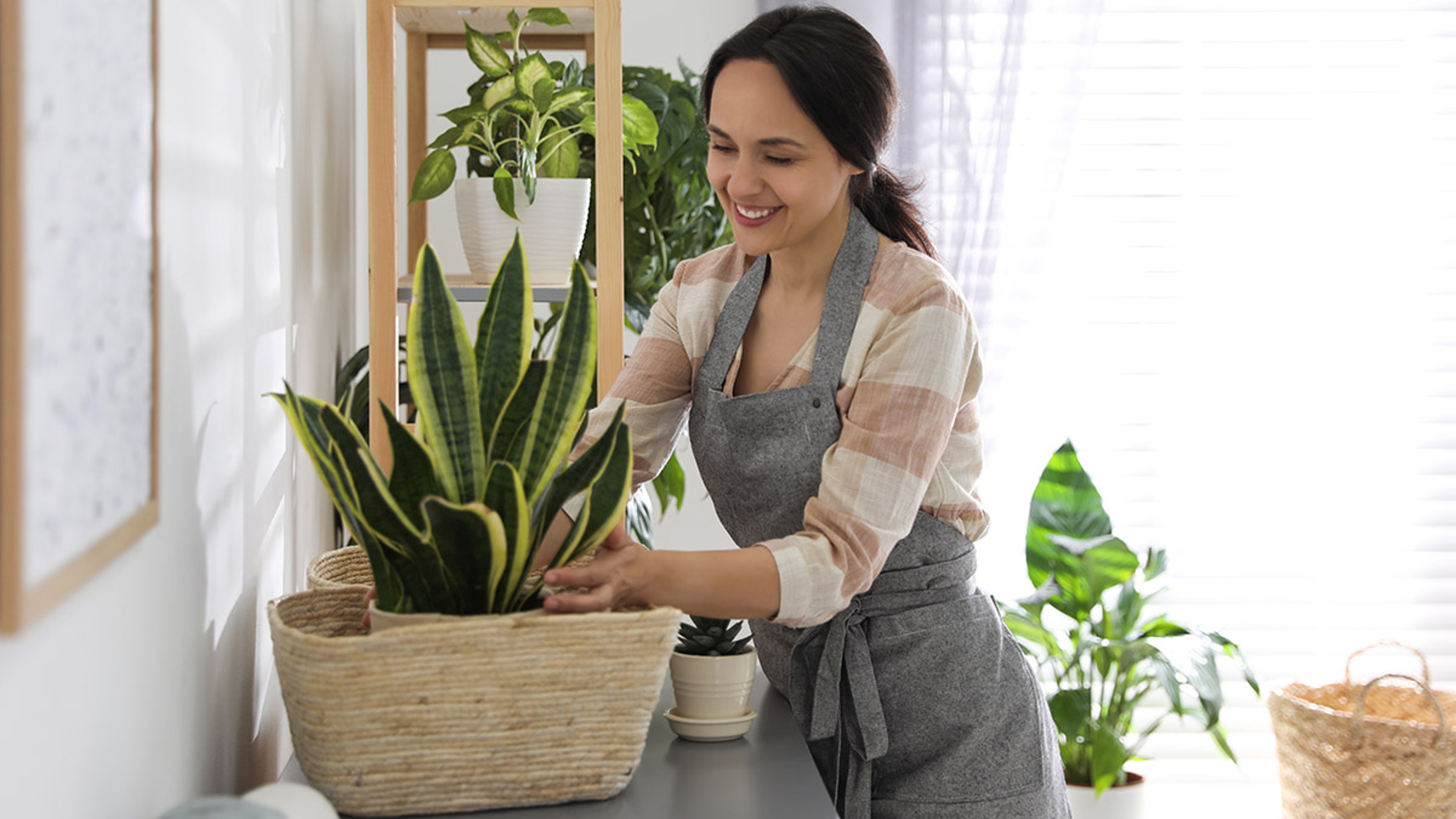 Article Cards Featured Image birthday gifts for sagittarius with woman caring for plant