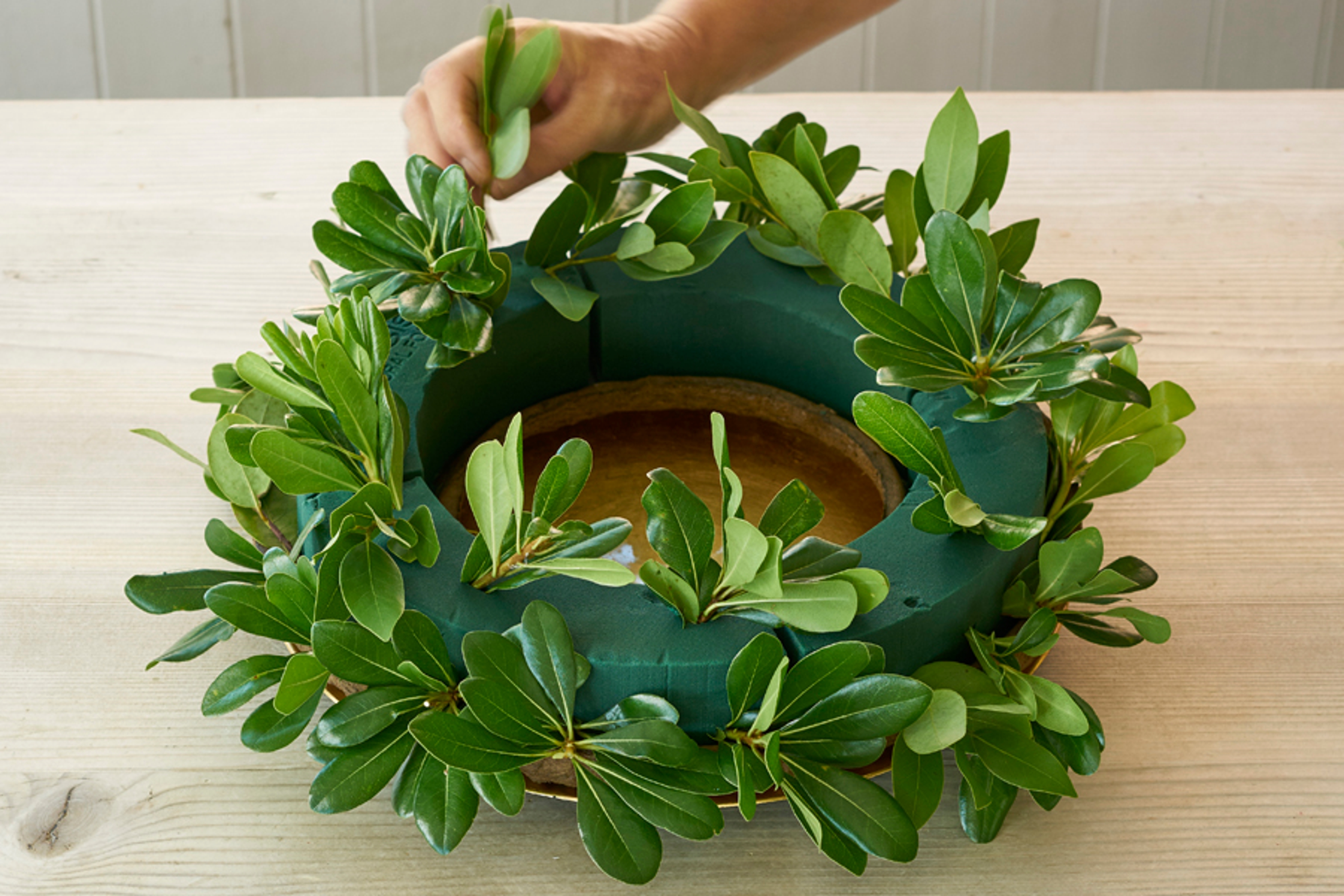 Step Continued Add Greens