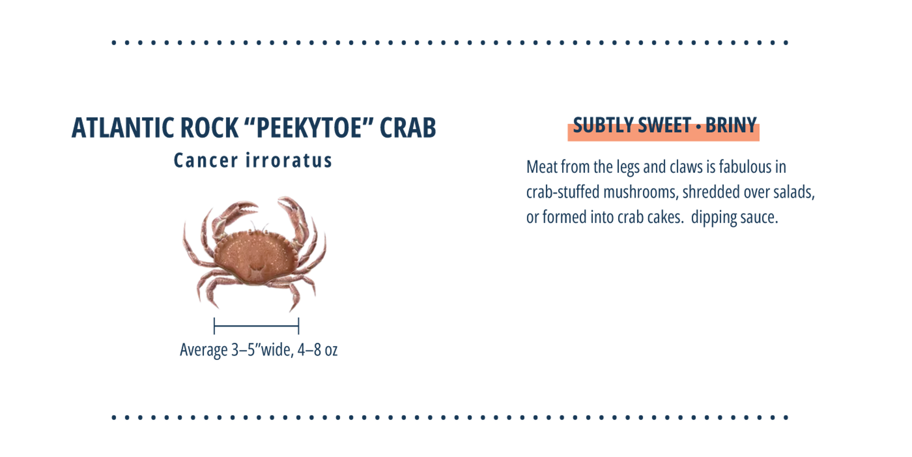 Infographic on Atlantic "Peekytoe" Crabs