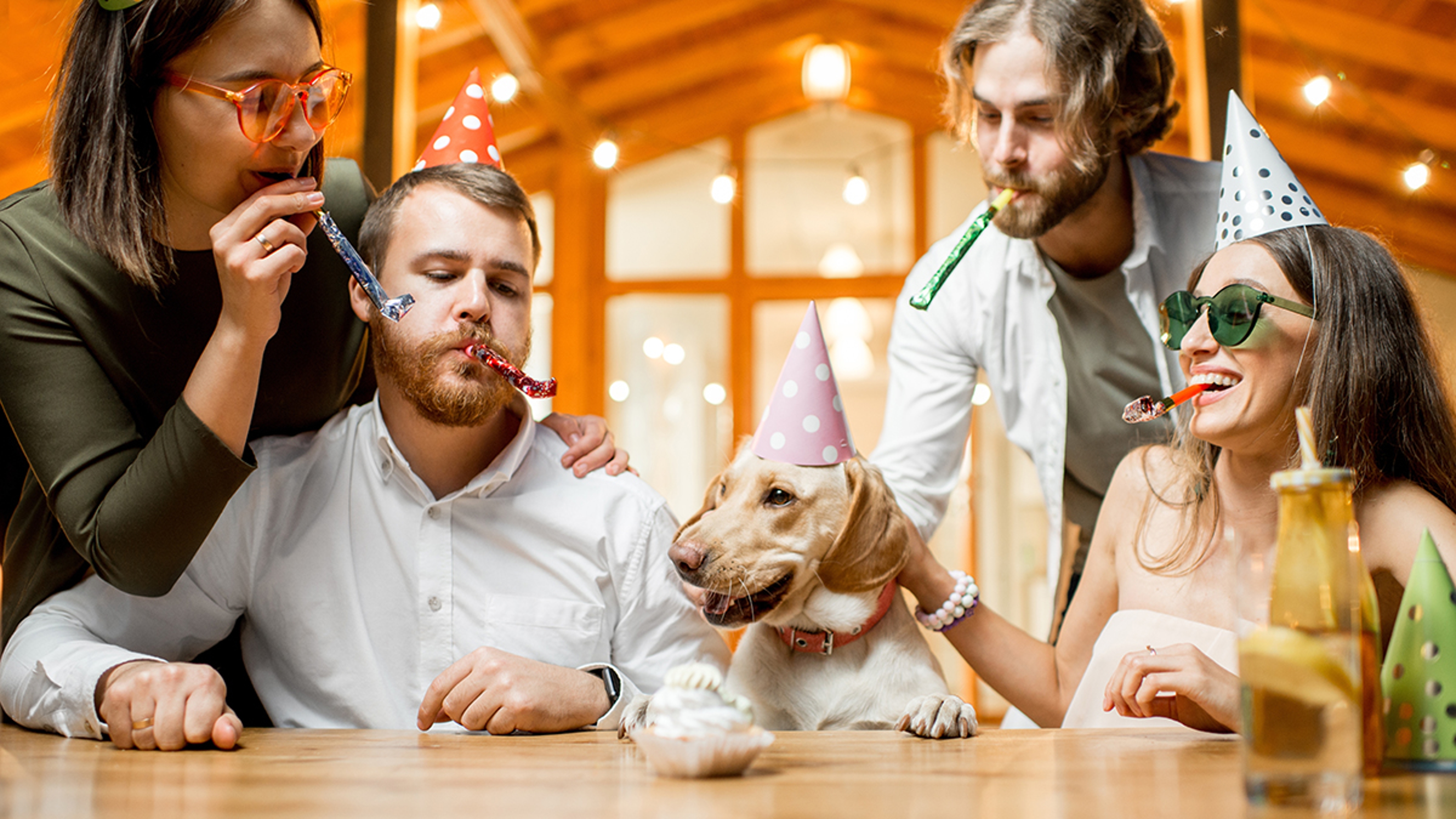 alt bashes two couples celebrating new pet