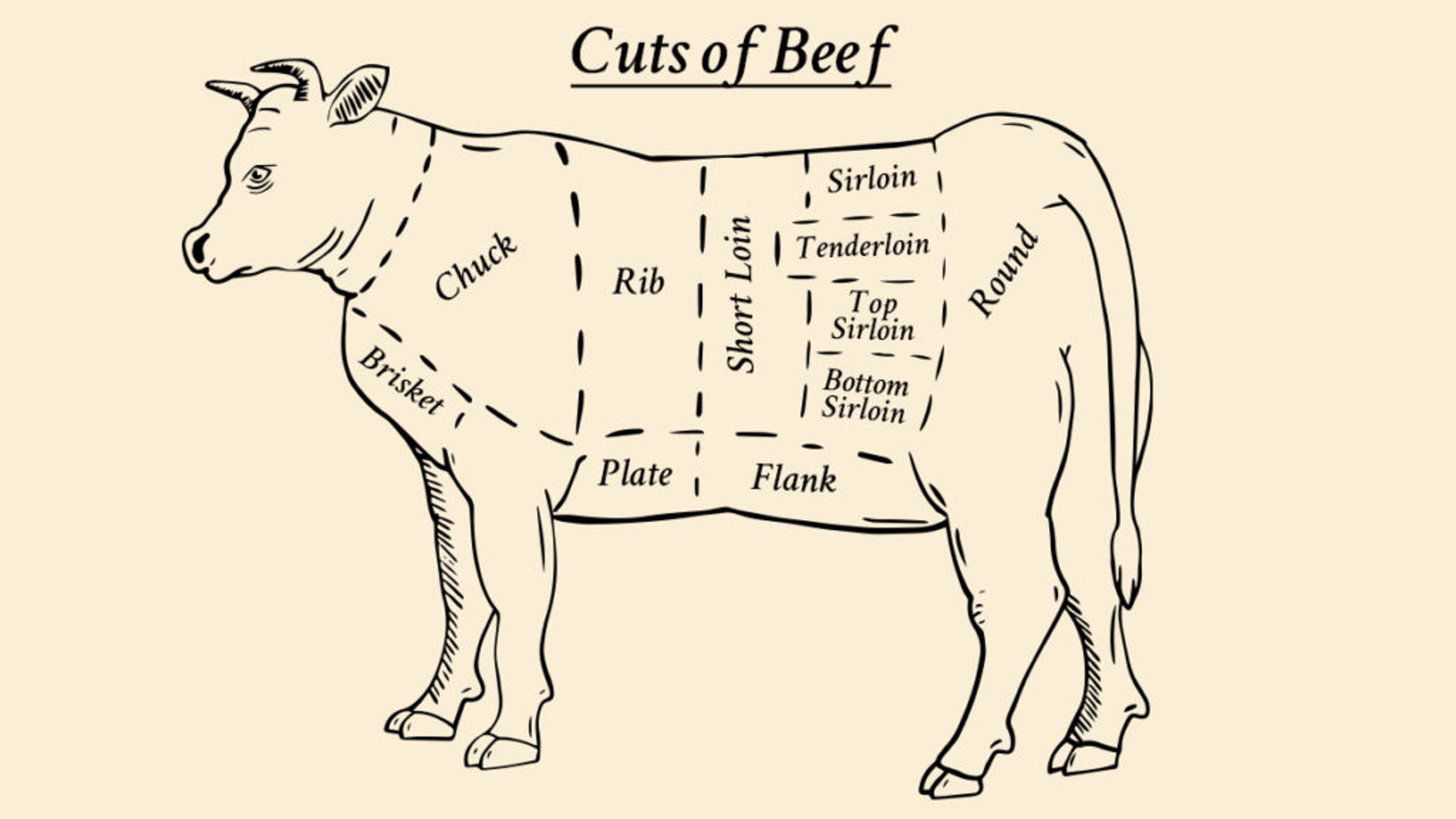 Beef terms diagram.