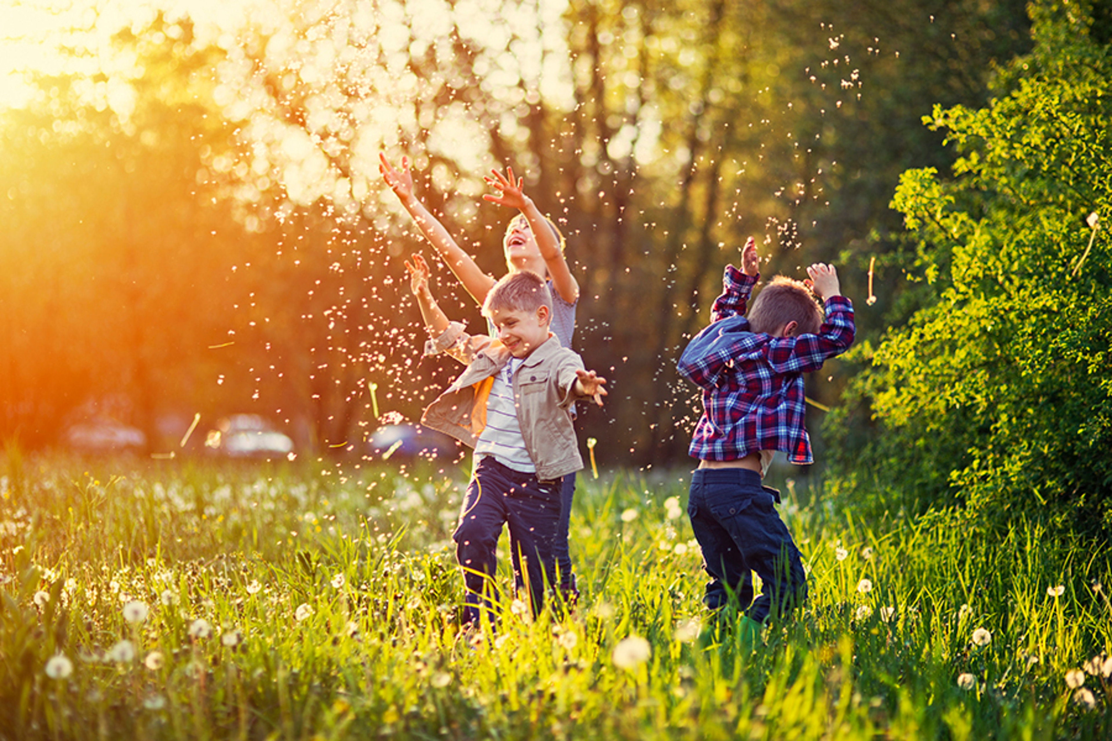 Article Cards Featured Image Sister and brothers playing in dandelion field