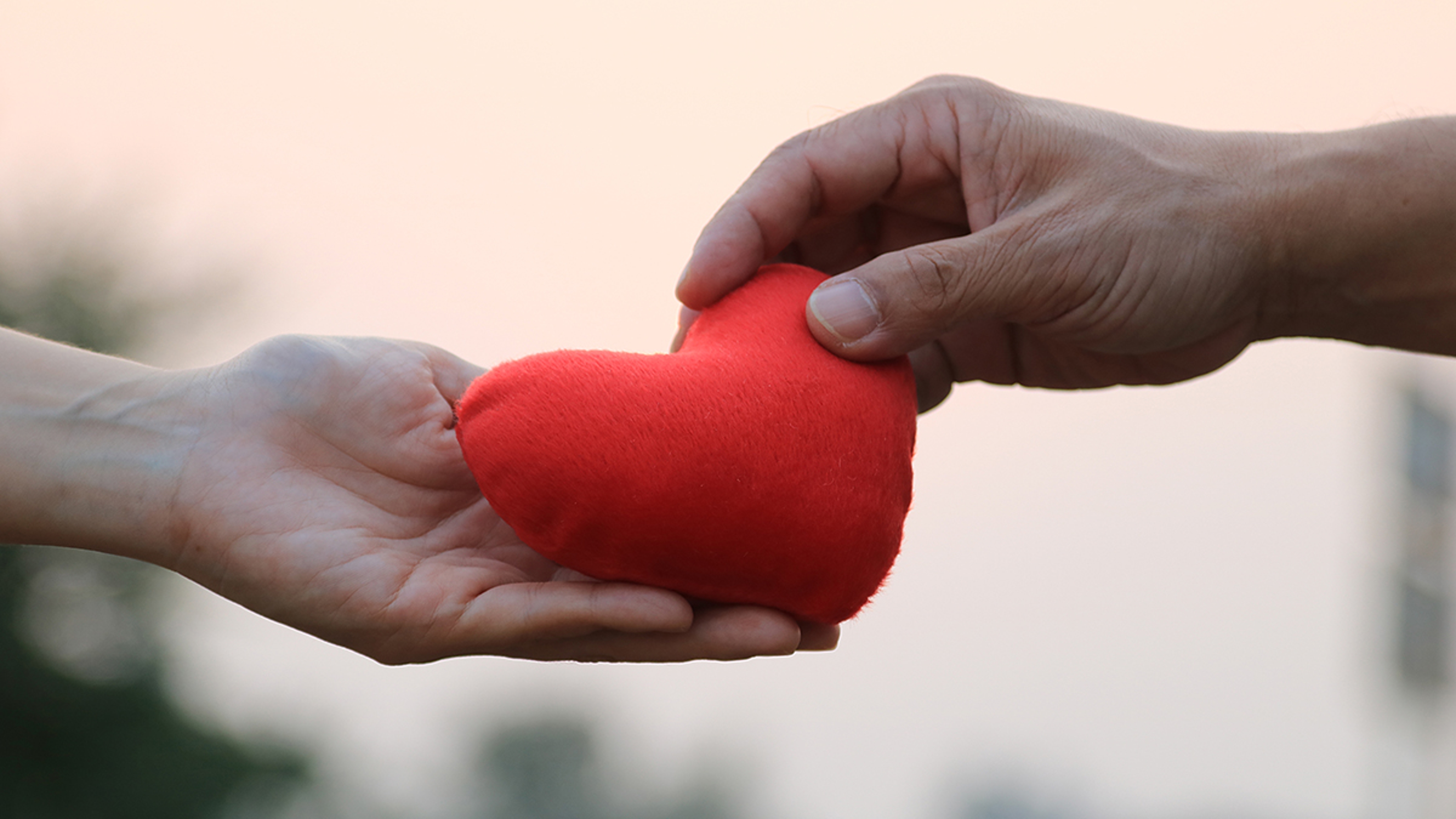 Article Cards Featured Image Two hands holding a plush heart