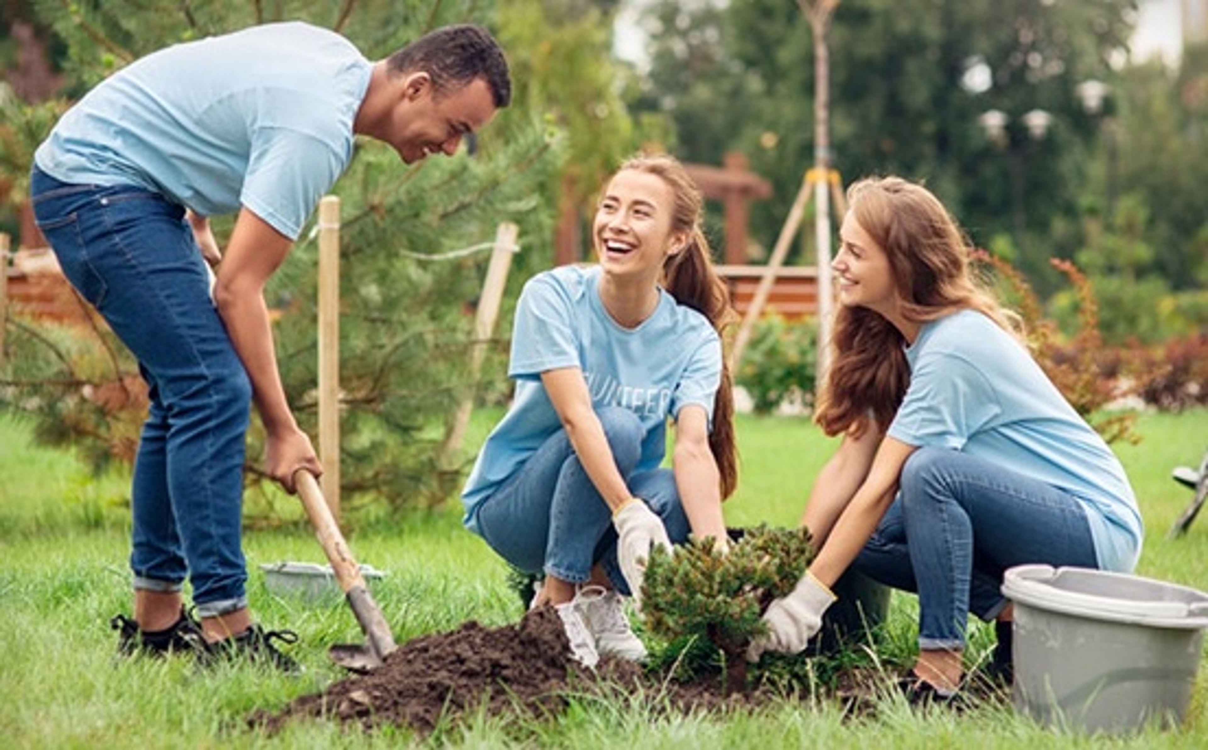 civic discourse planting trees